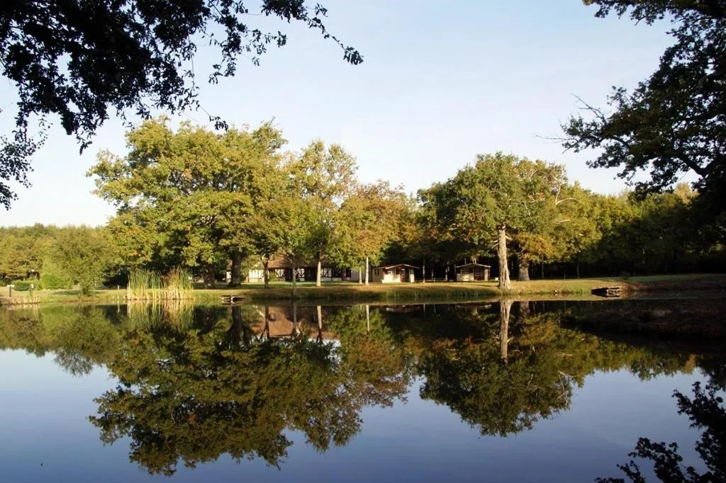 Garden in L'Orée des Chênes, The Originals Relais