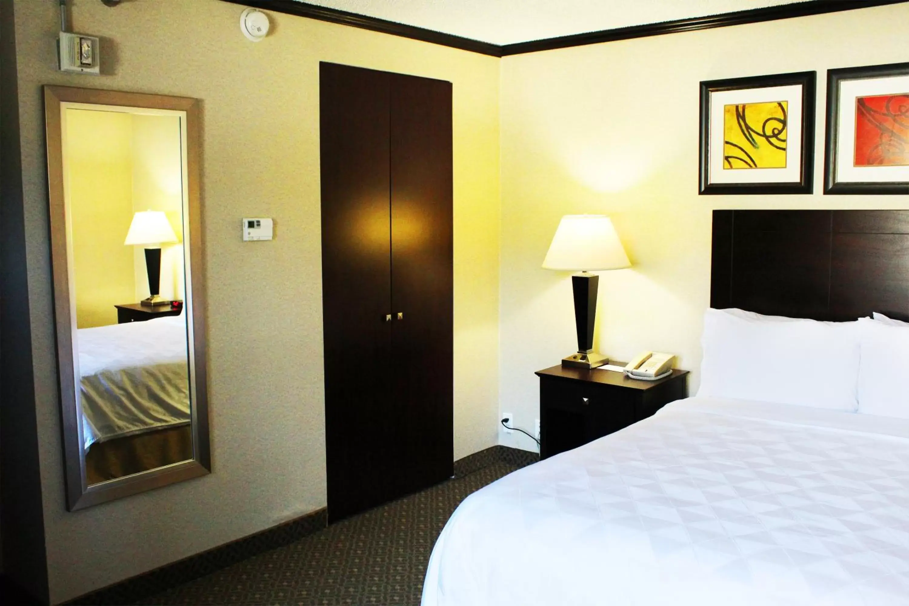 Queen Room - Disability Access in Hotel Burbank Queen Room - Disability Access in Hotel Burbank