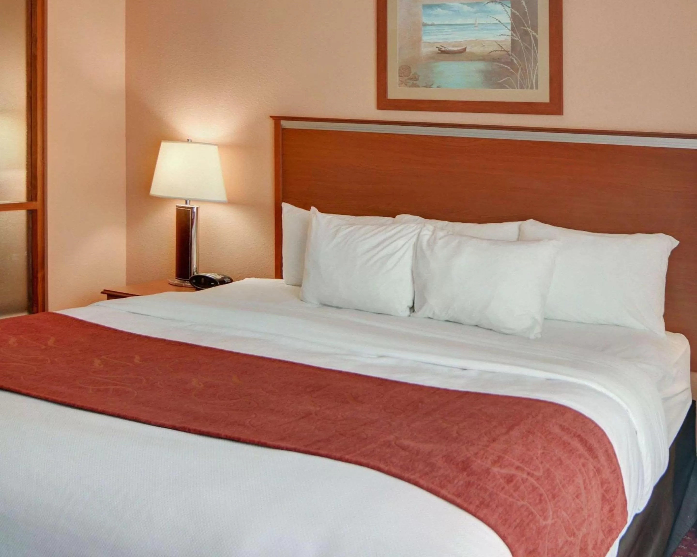 King Suite - Non-Smoking in Quality Suites Near Cedar Creek Lake