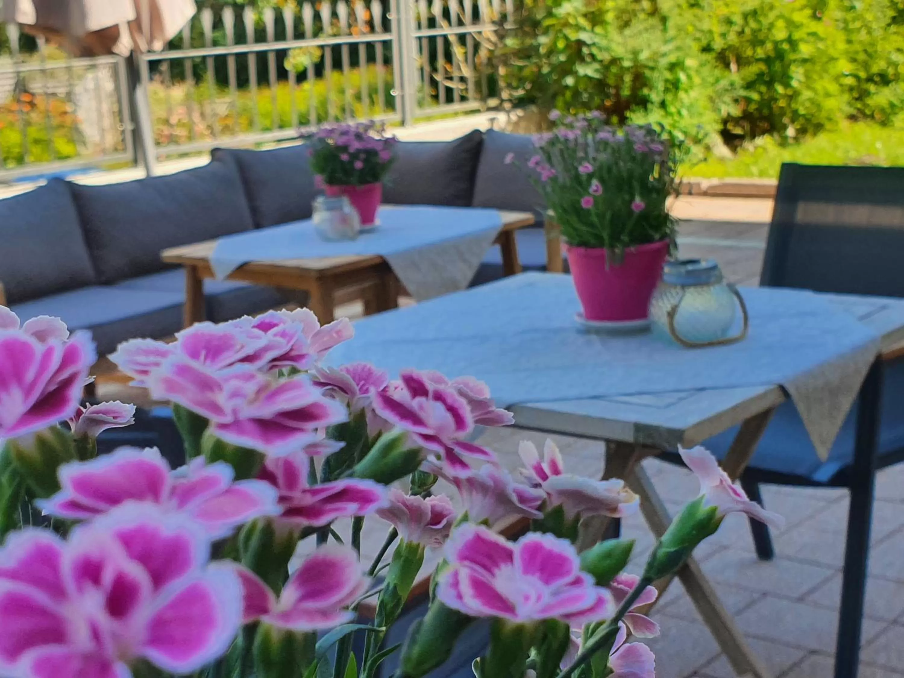 Restaurant/places to eat in Hotel Der Schmittenhof