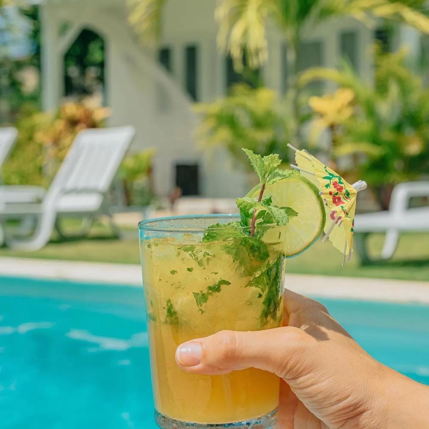 Alcoholic drinks in PUNTA POPY BOUTIQUE HOTEL - Adults Only