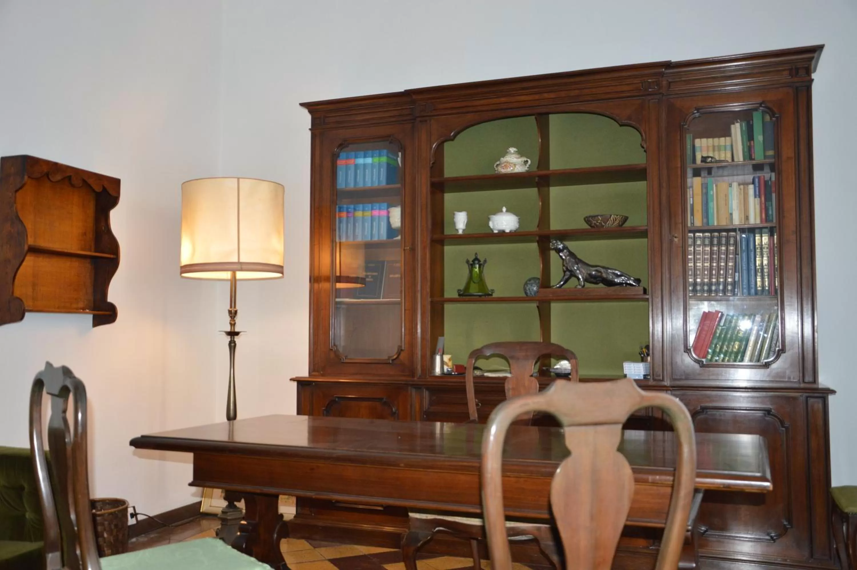 Library in Villa Gini