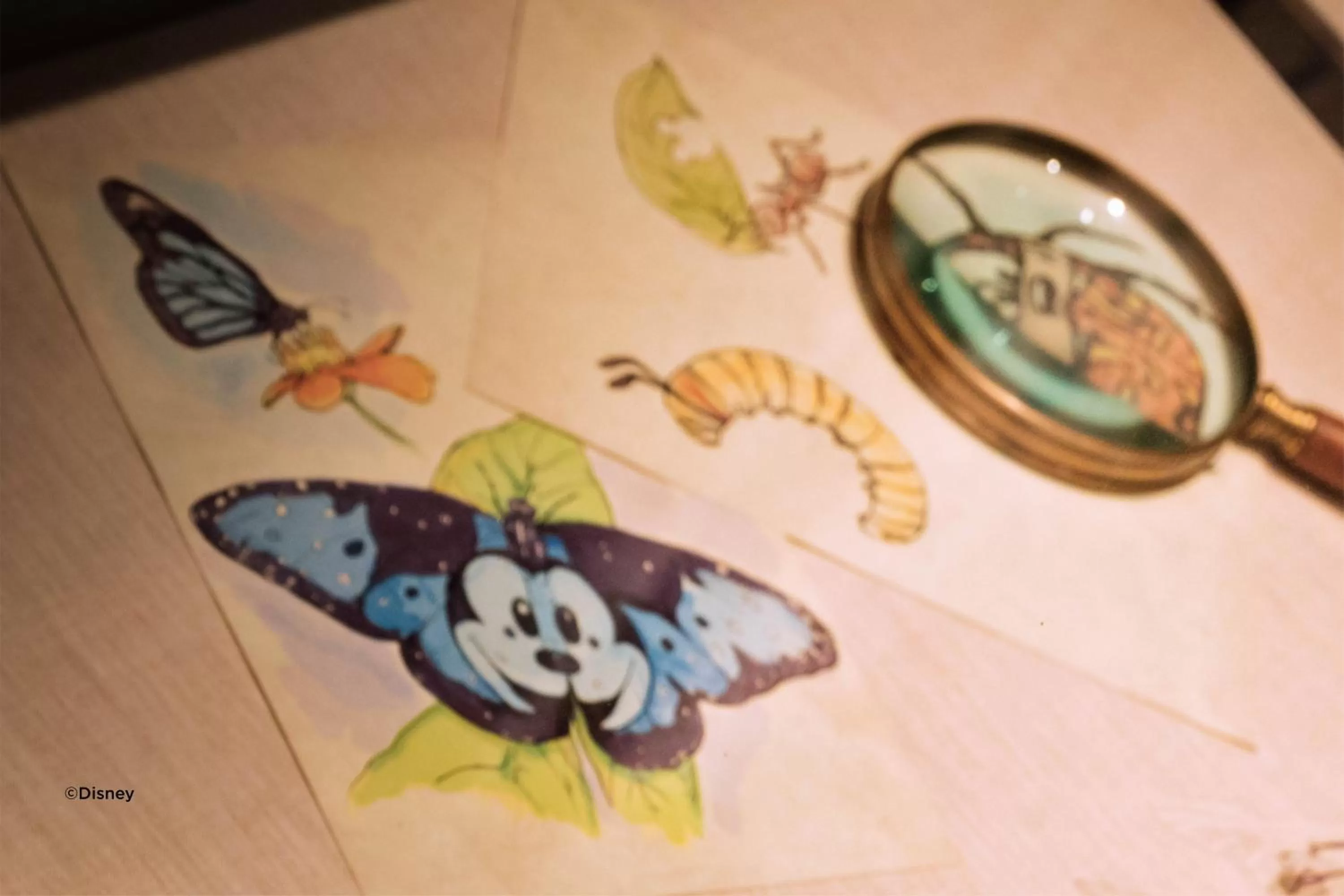 Activities in Hong Kong Disneyland Hotel