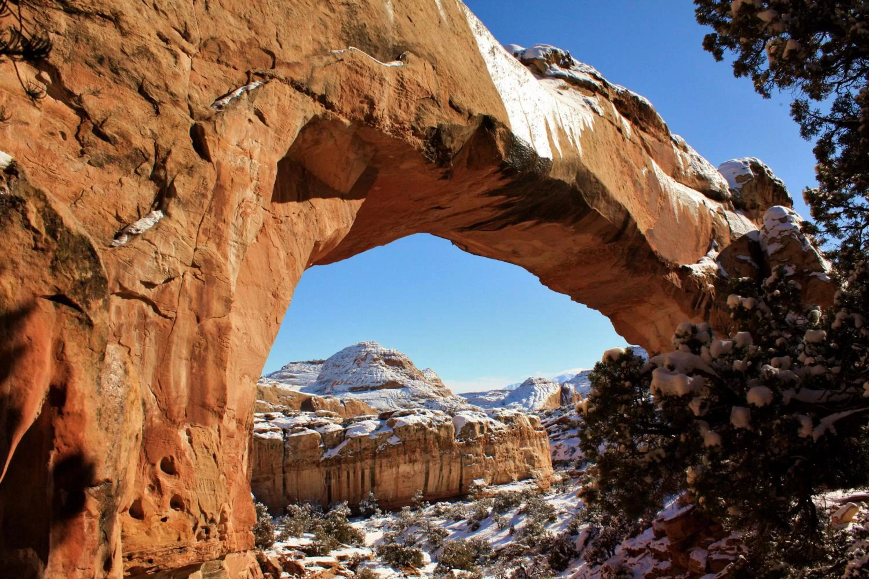 Natural landscape in The Noor Hotel