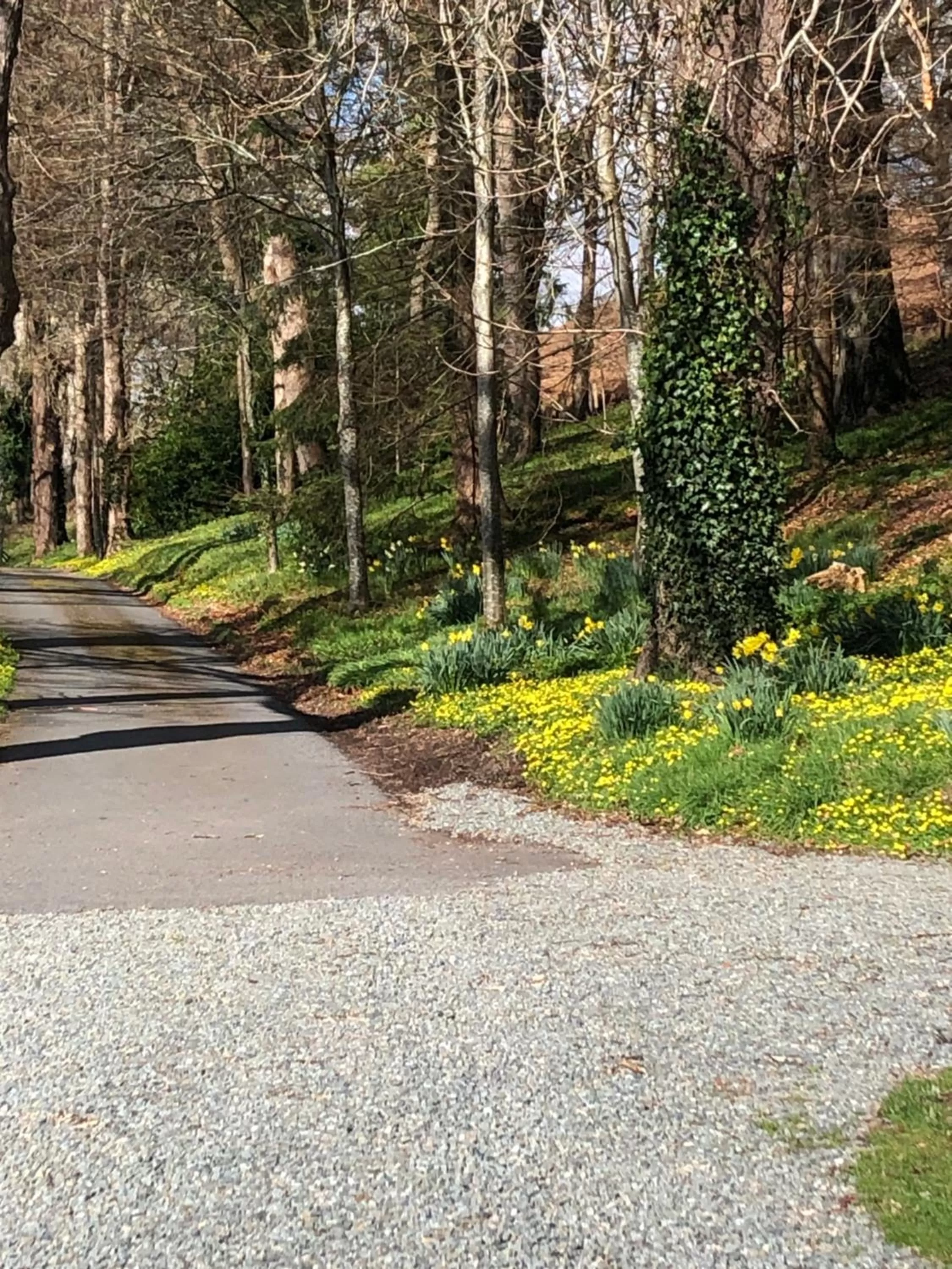 Spring in The Skreen