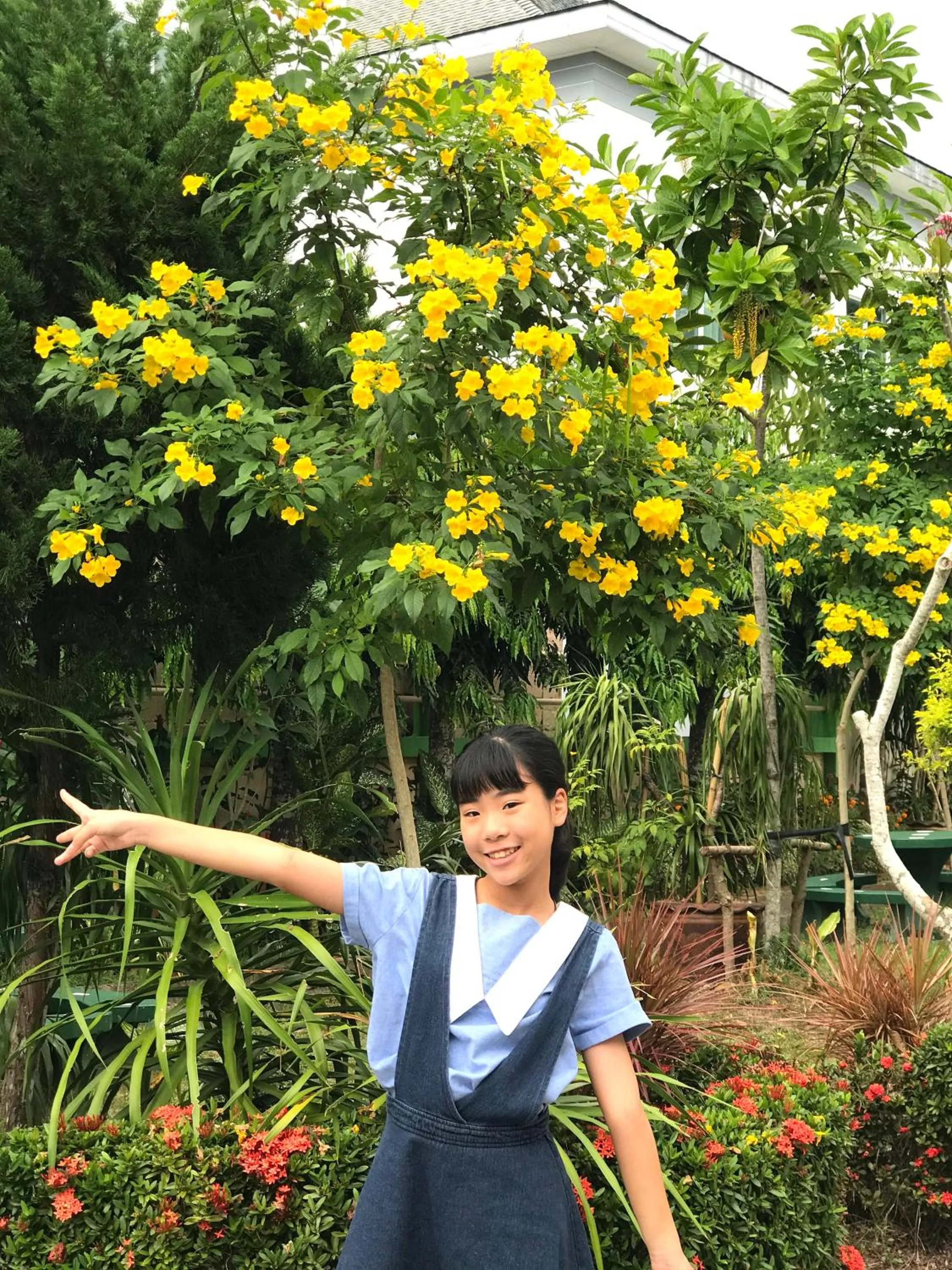 Natural landscape in J.Holiday Inn Krabi