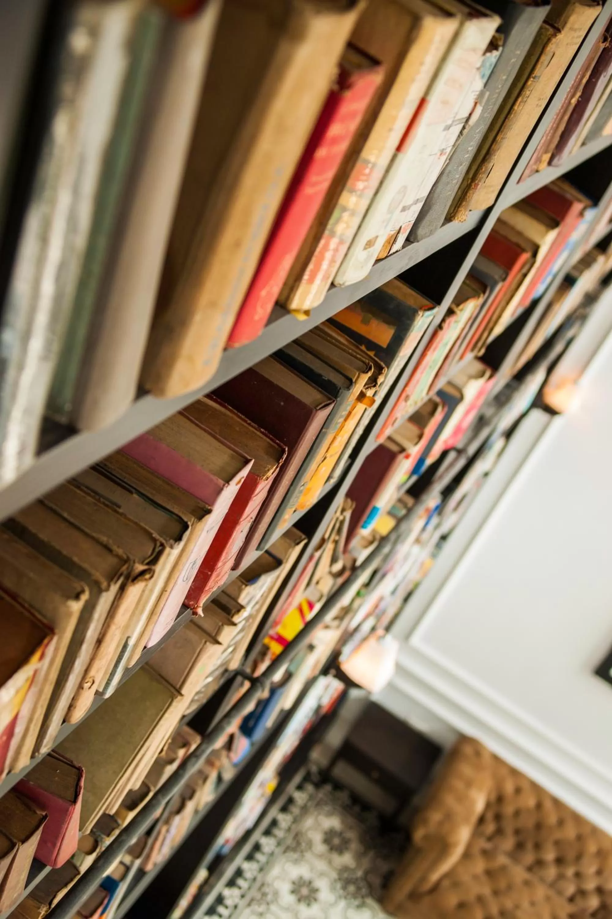 Library in The Alcove Library Hotel