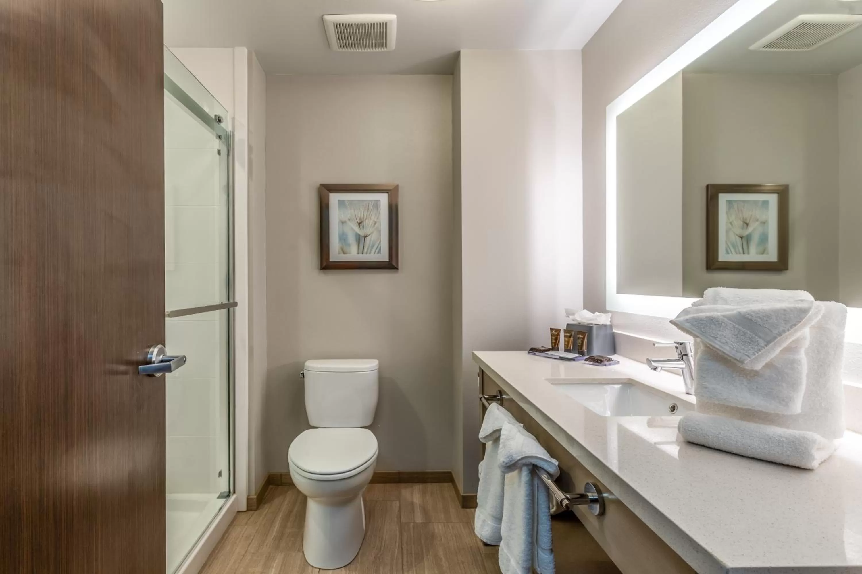 Toilet in Hawthorn Extended Stay by Wyndham Loveland