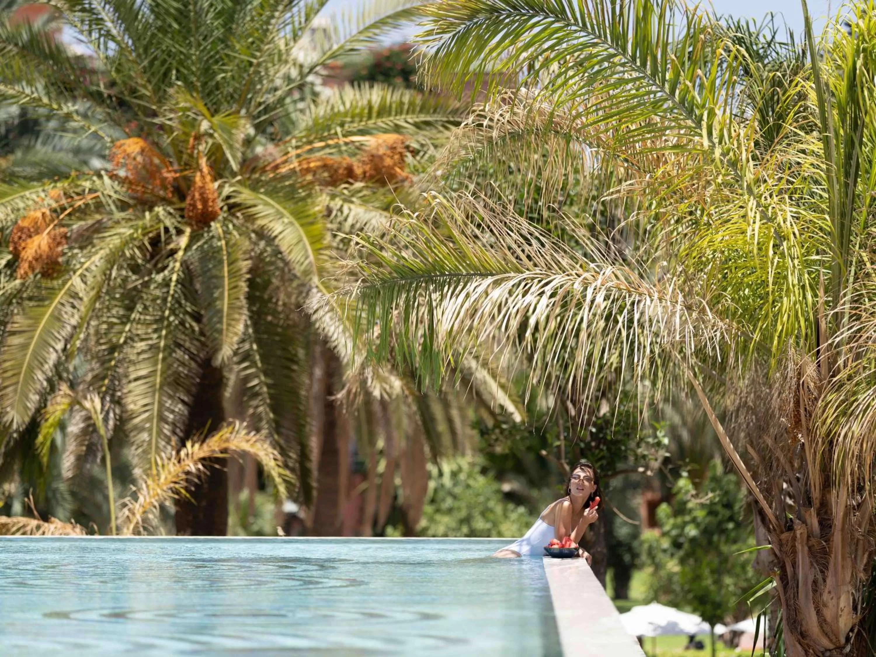 Pool view in Sofitel Marrakech Lounge and Spa