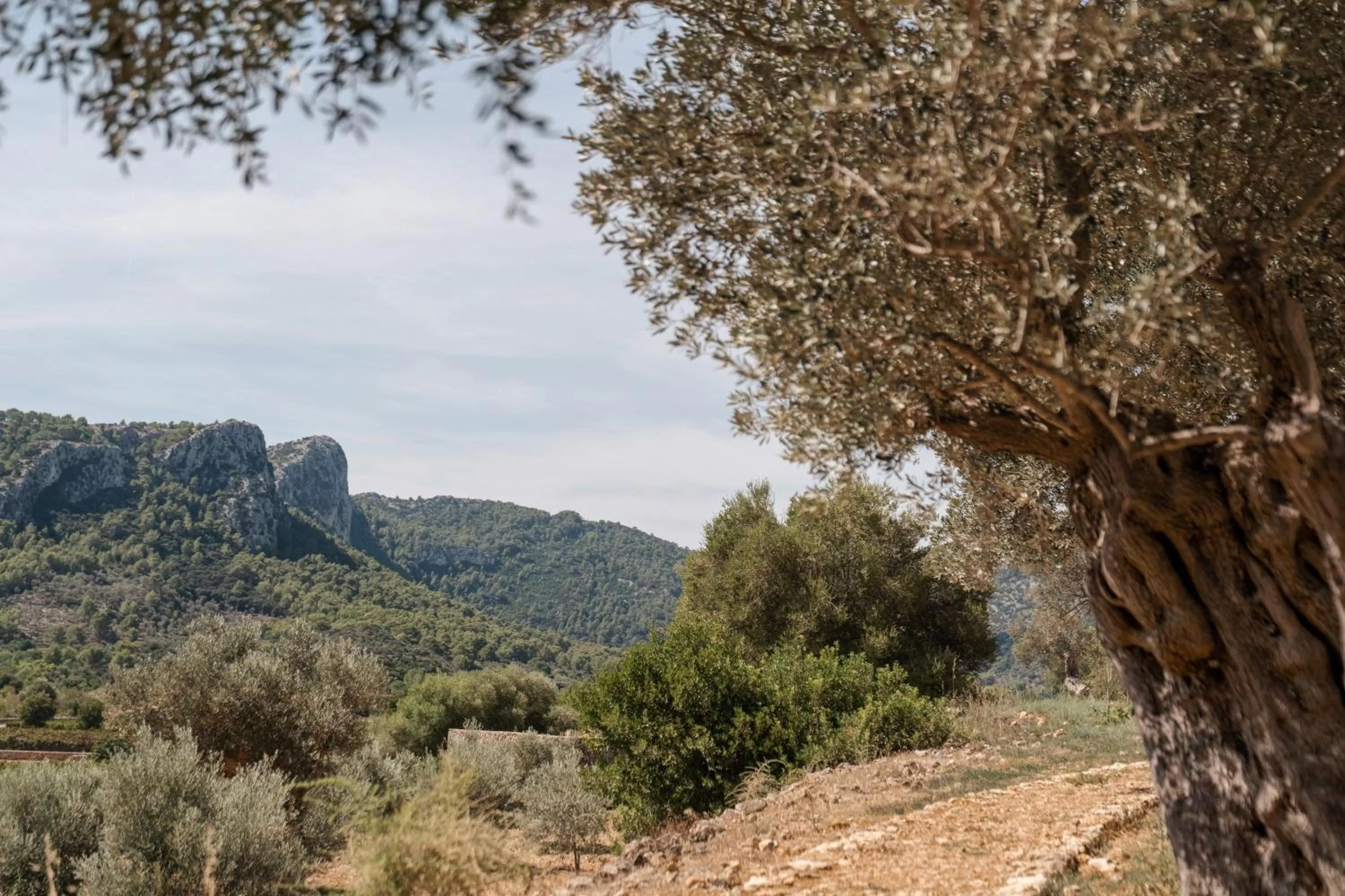 Off site in Son Brull Hotel & Spa - Relais & Chateaux