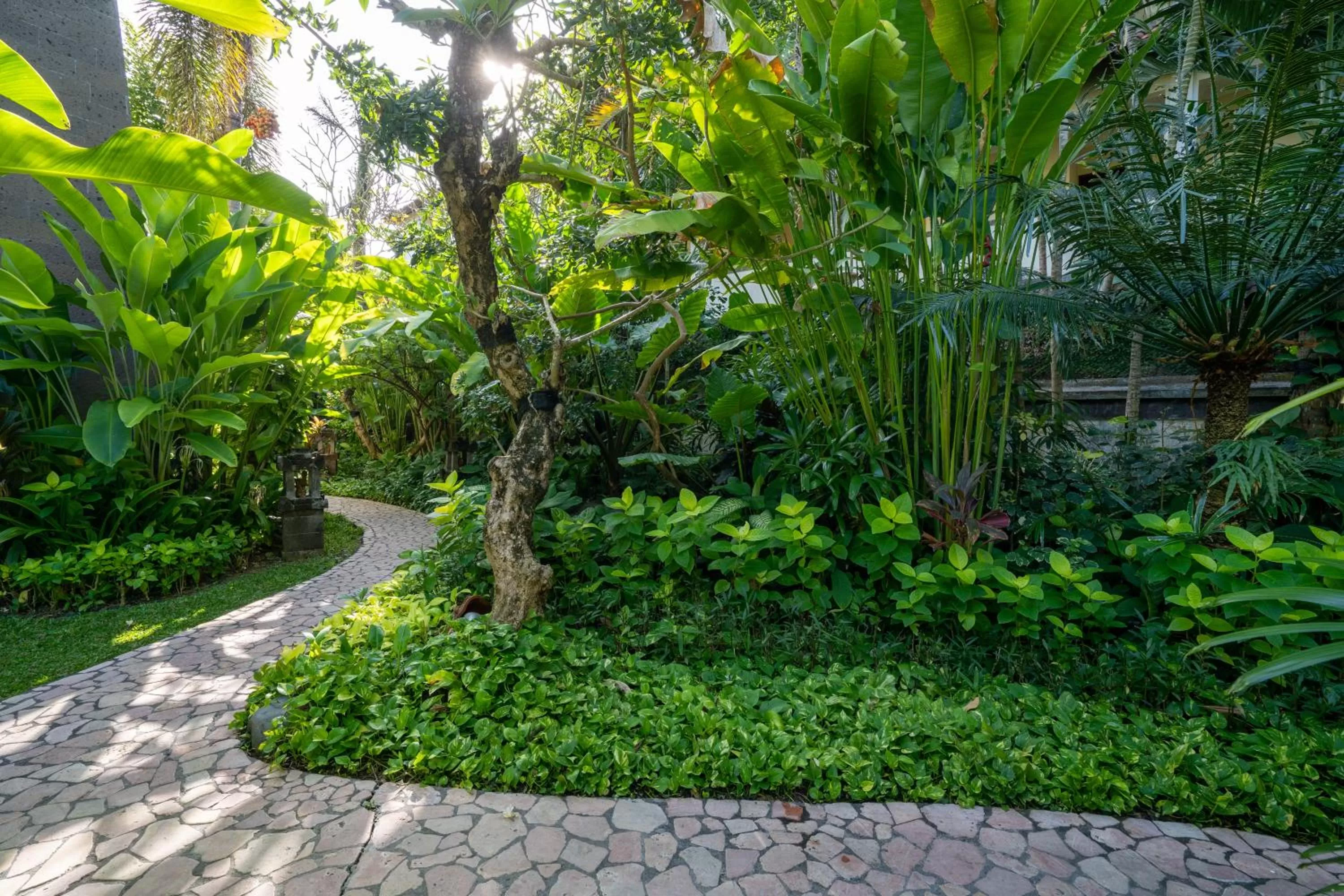 Garden in Hotel Kumala Pantai