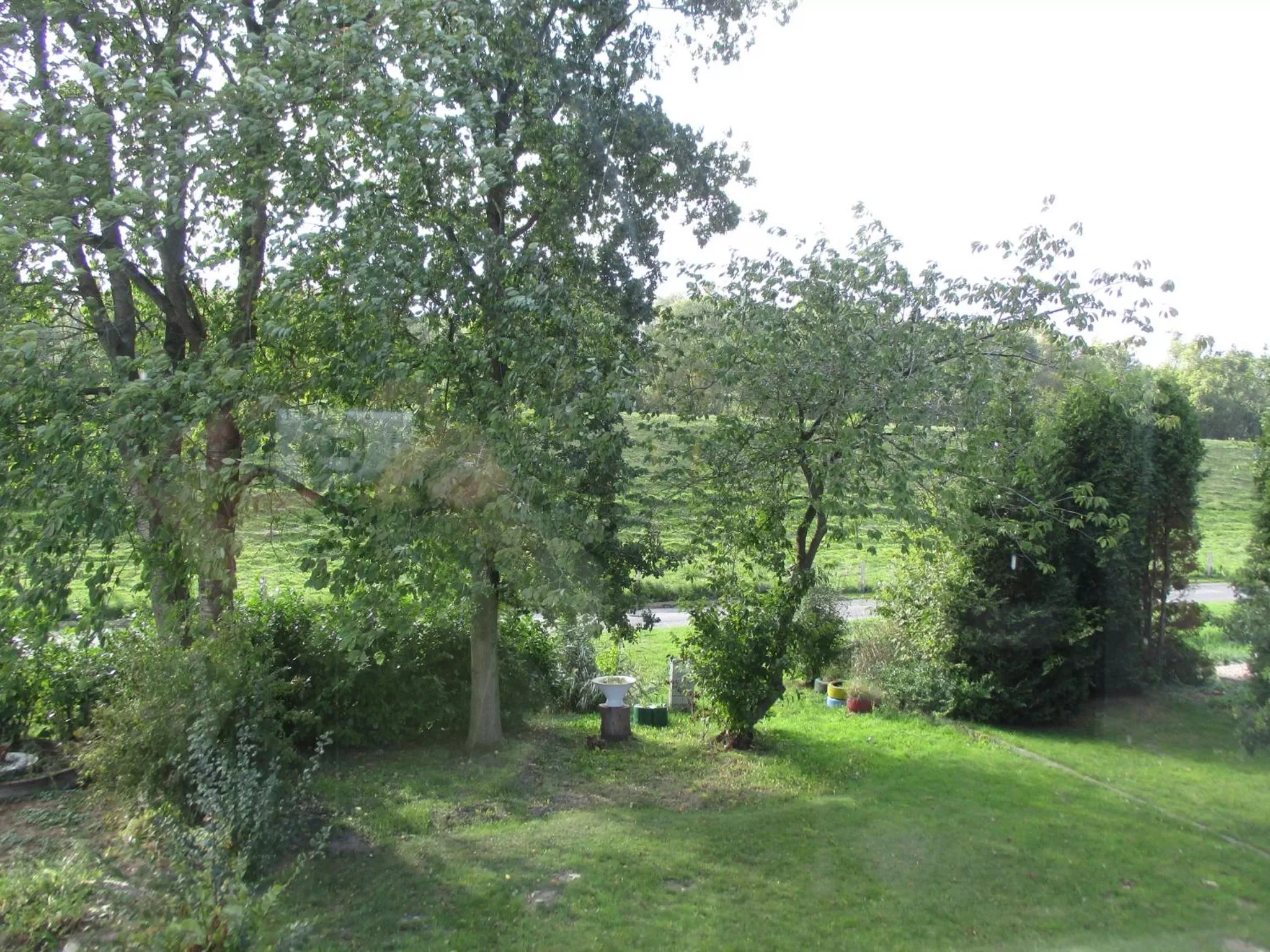 Garden in Best Pension