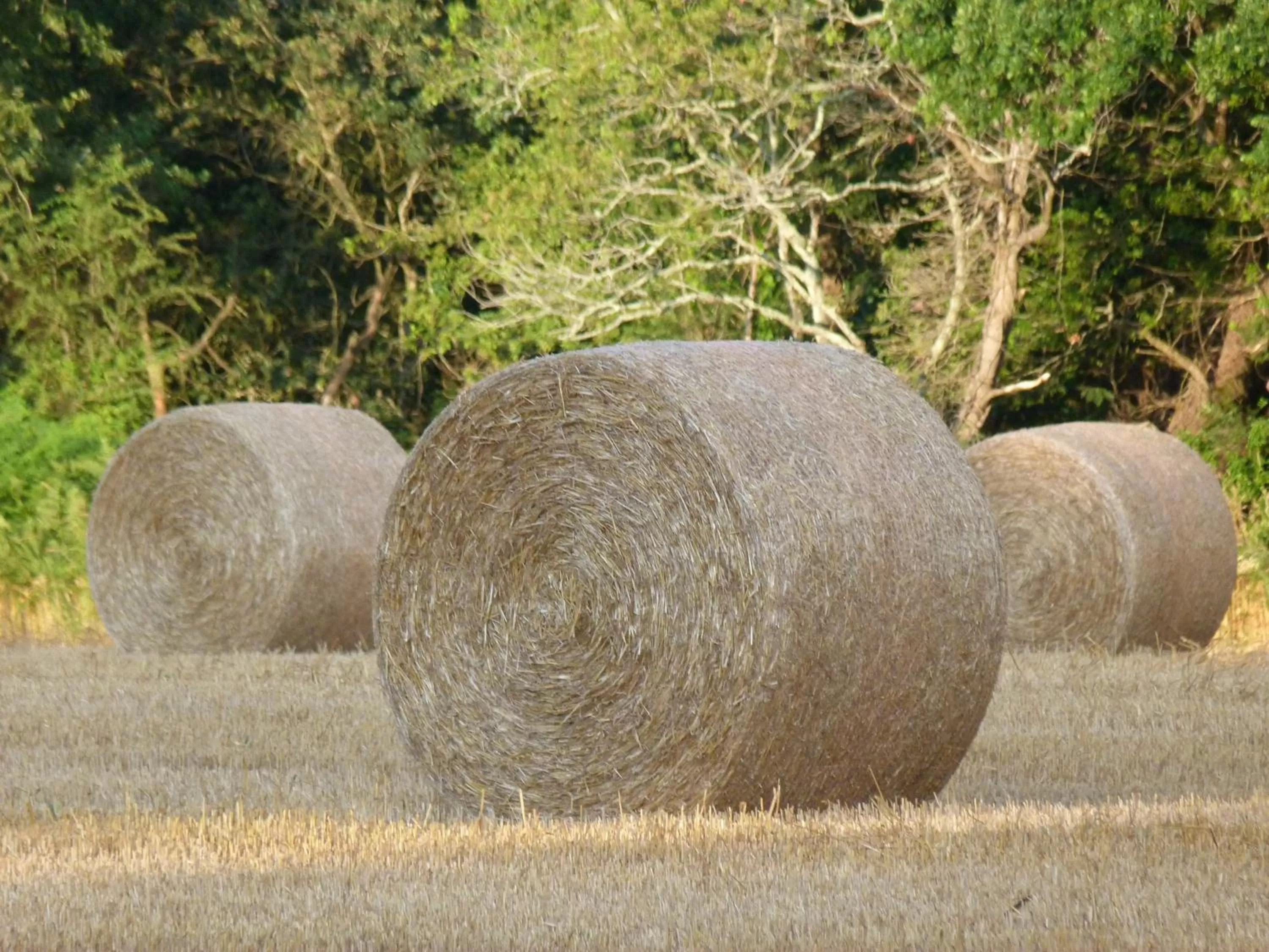 Natural landscape in Chambres d'hôtes de Kerpunce