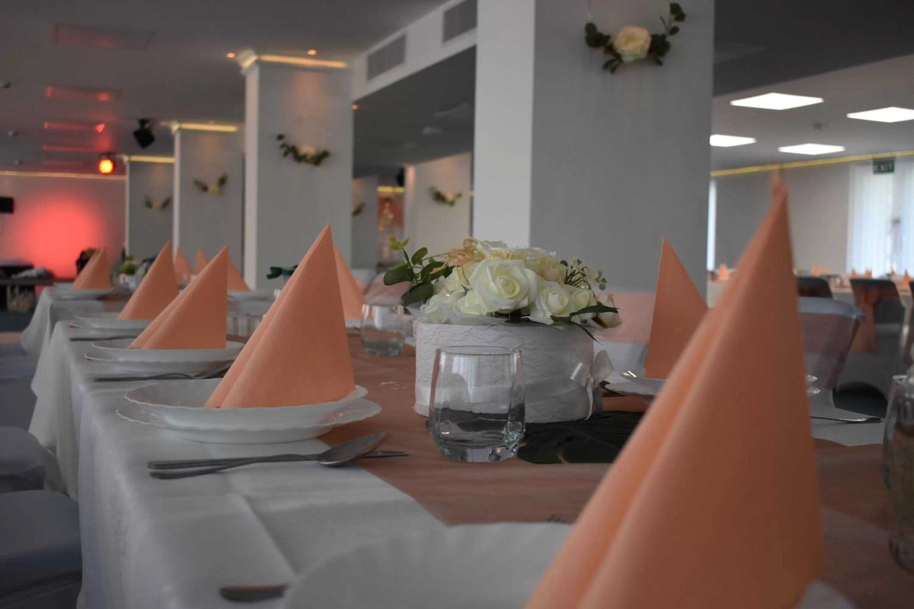 Banquet/Function facilities in Tisza-tó Apartmanpark