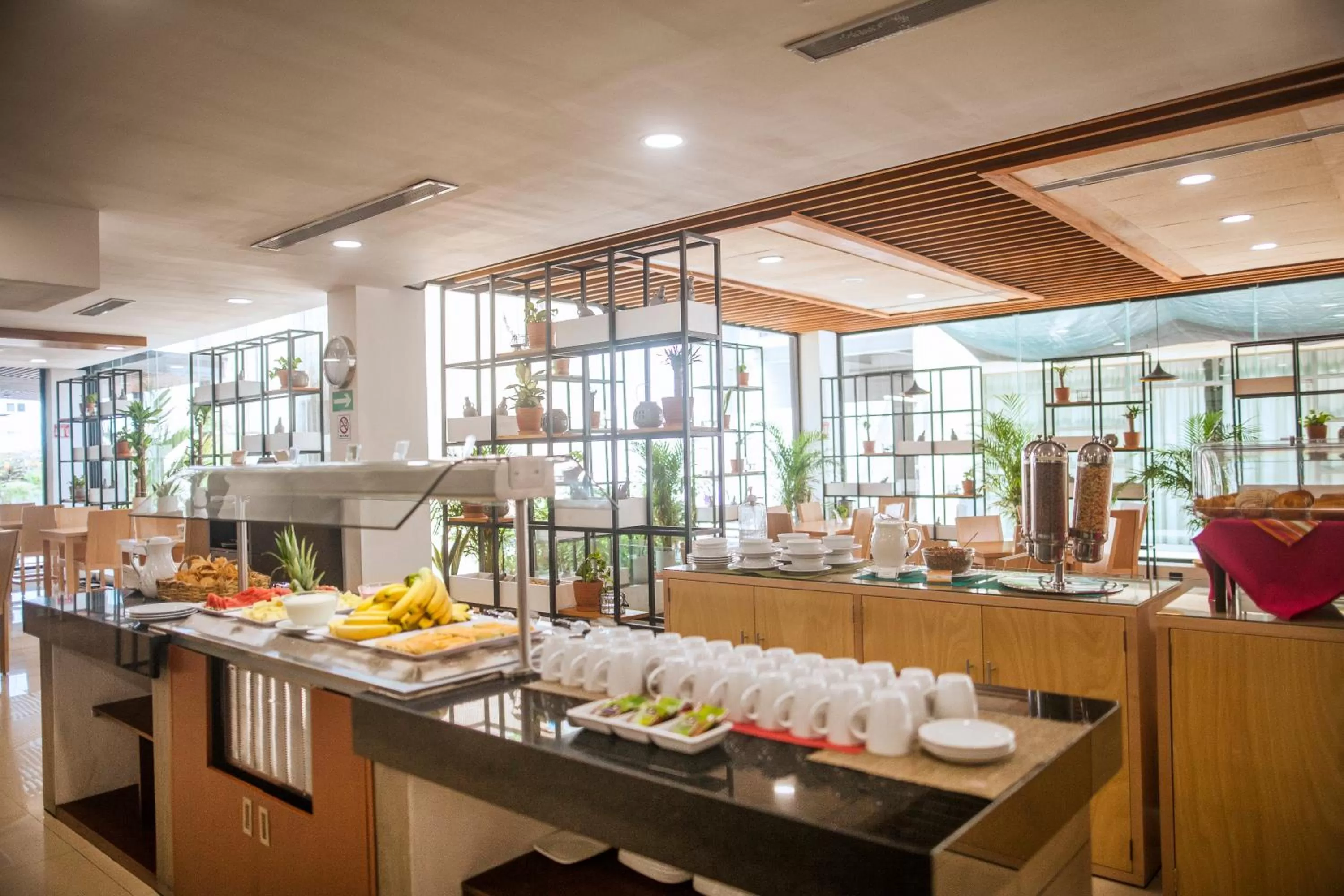 Restaurant/places to eat in Wyndham Garden Cancun Downtown