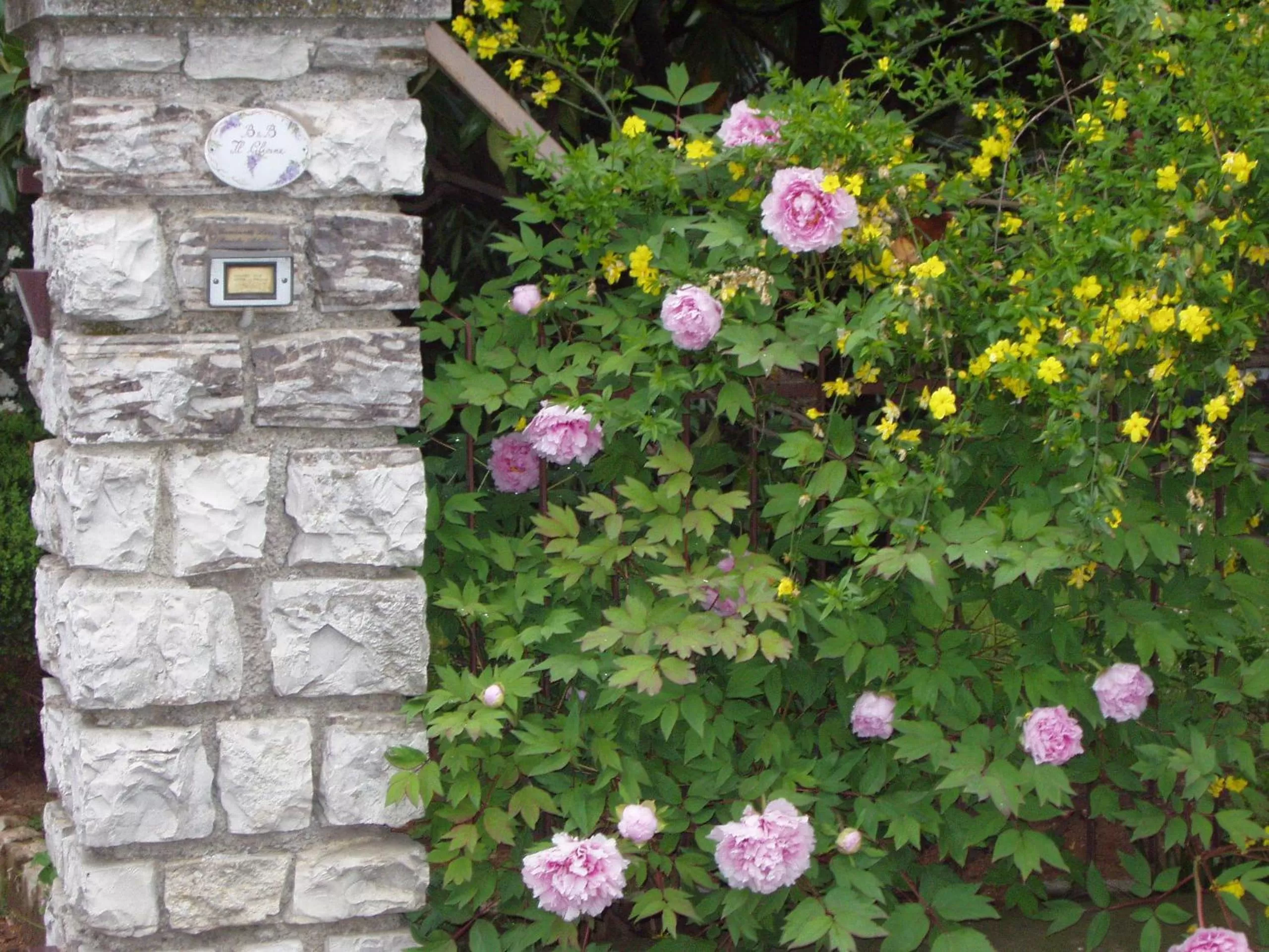 Facade/entrance in B&B Il Glicine