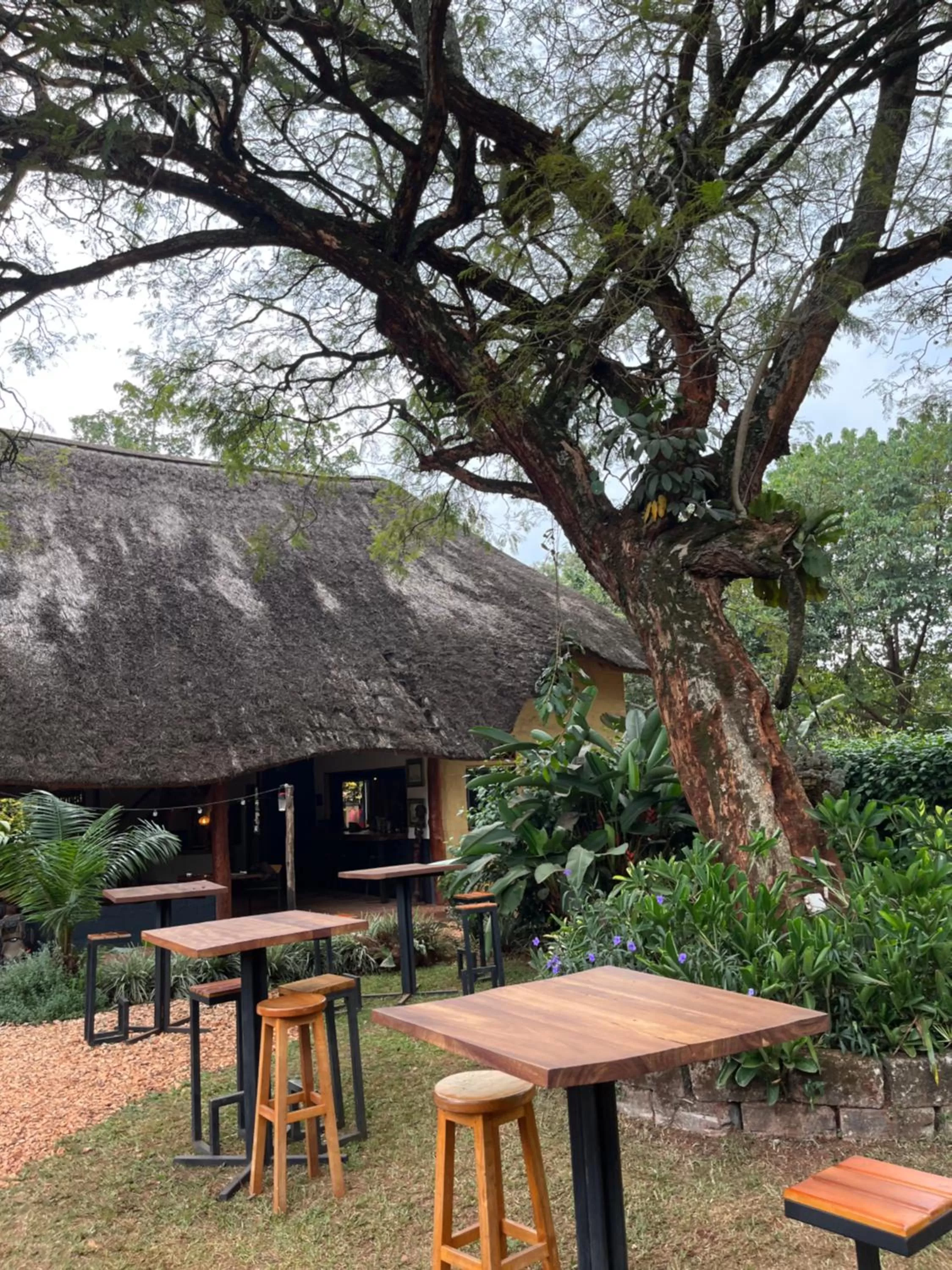 Restaurant/places to eat in 30 Wilson