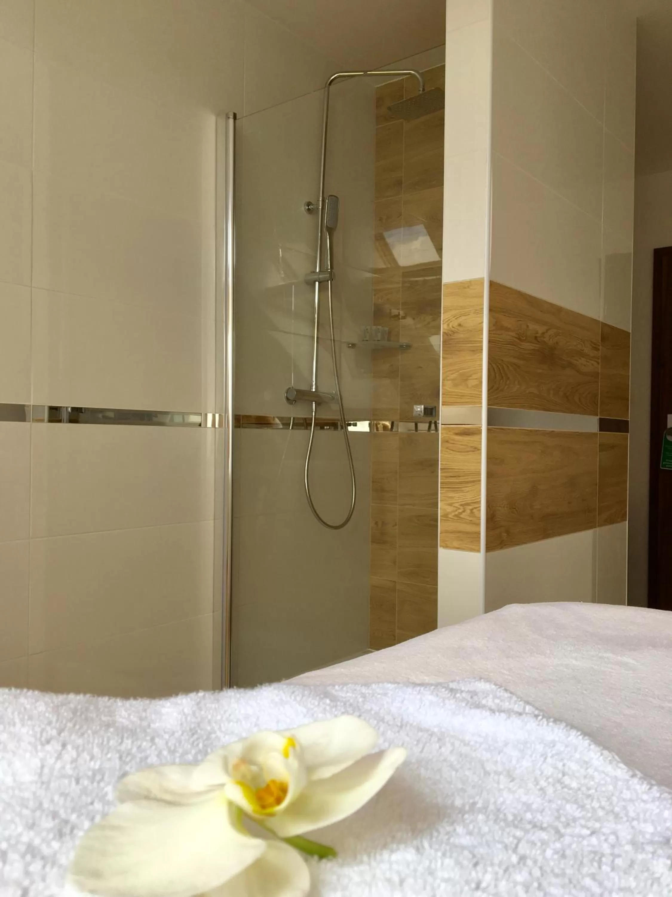 Massage, Bed in Hotel Santa Monica