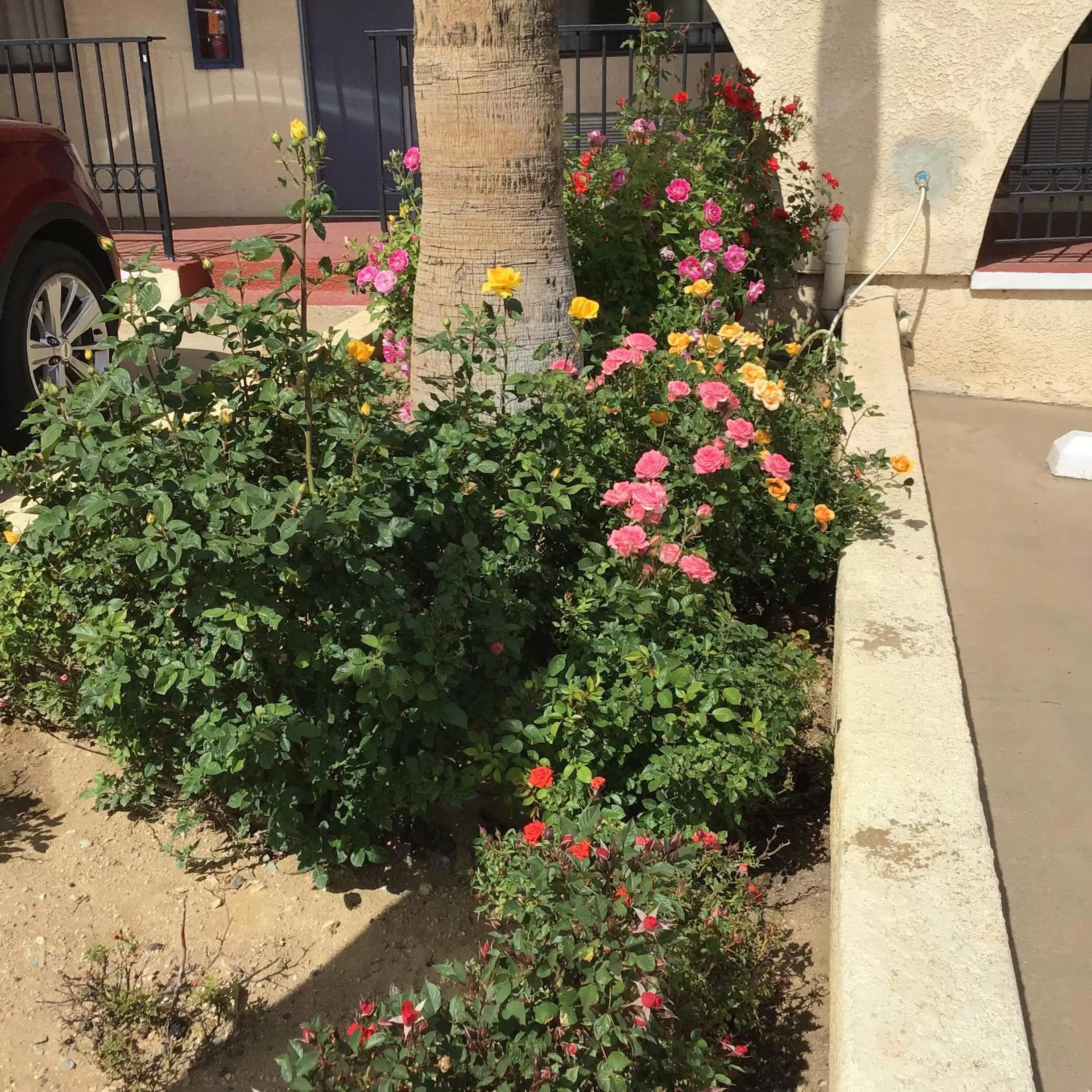 Facade/entrance in Americas Best Value Inn and Suites -Yucca Valley