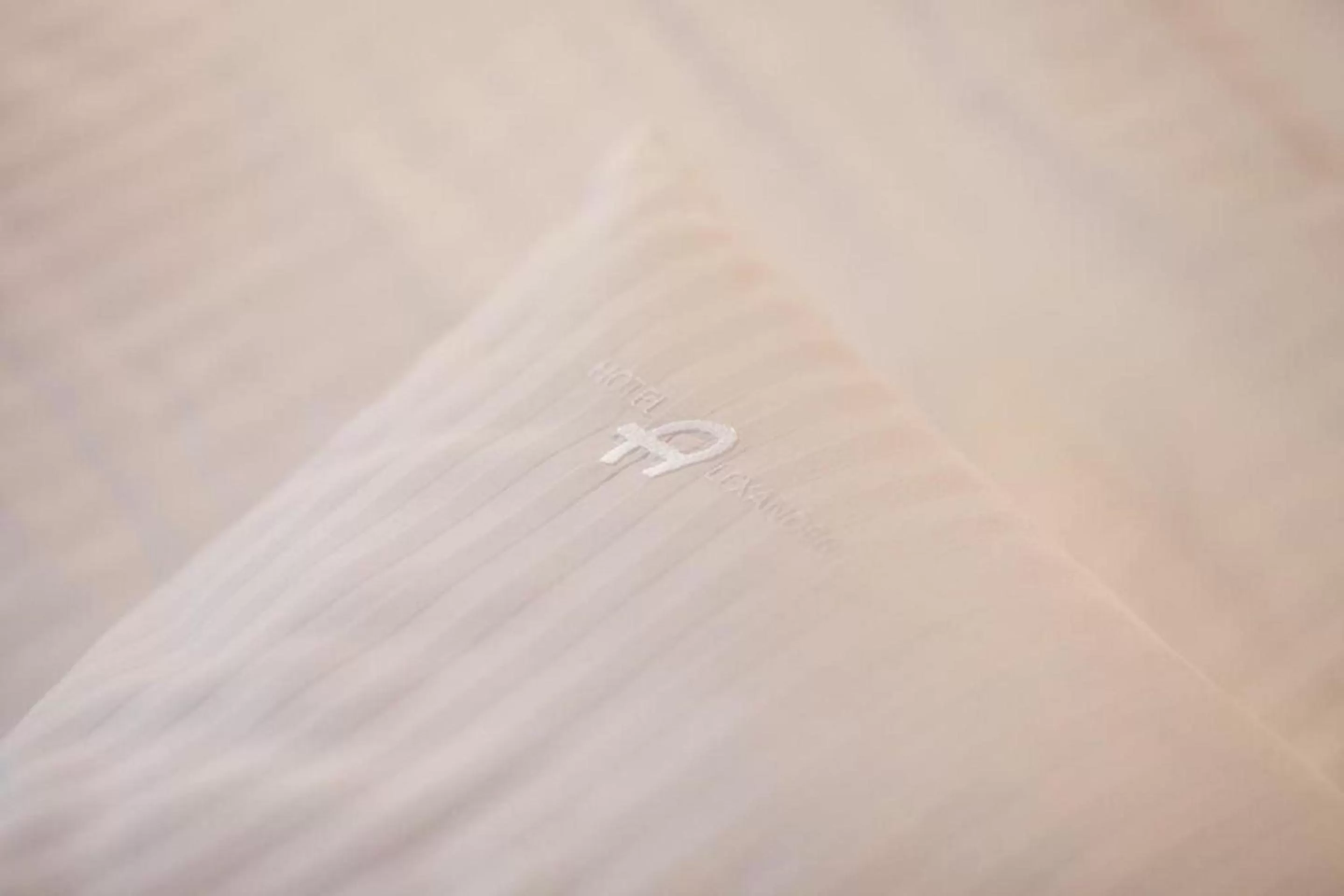 Bed in Hotel Alexander