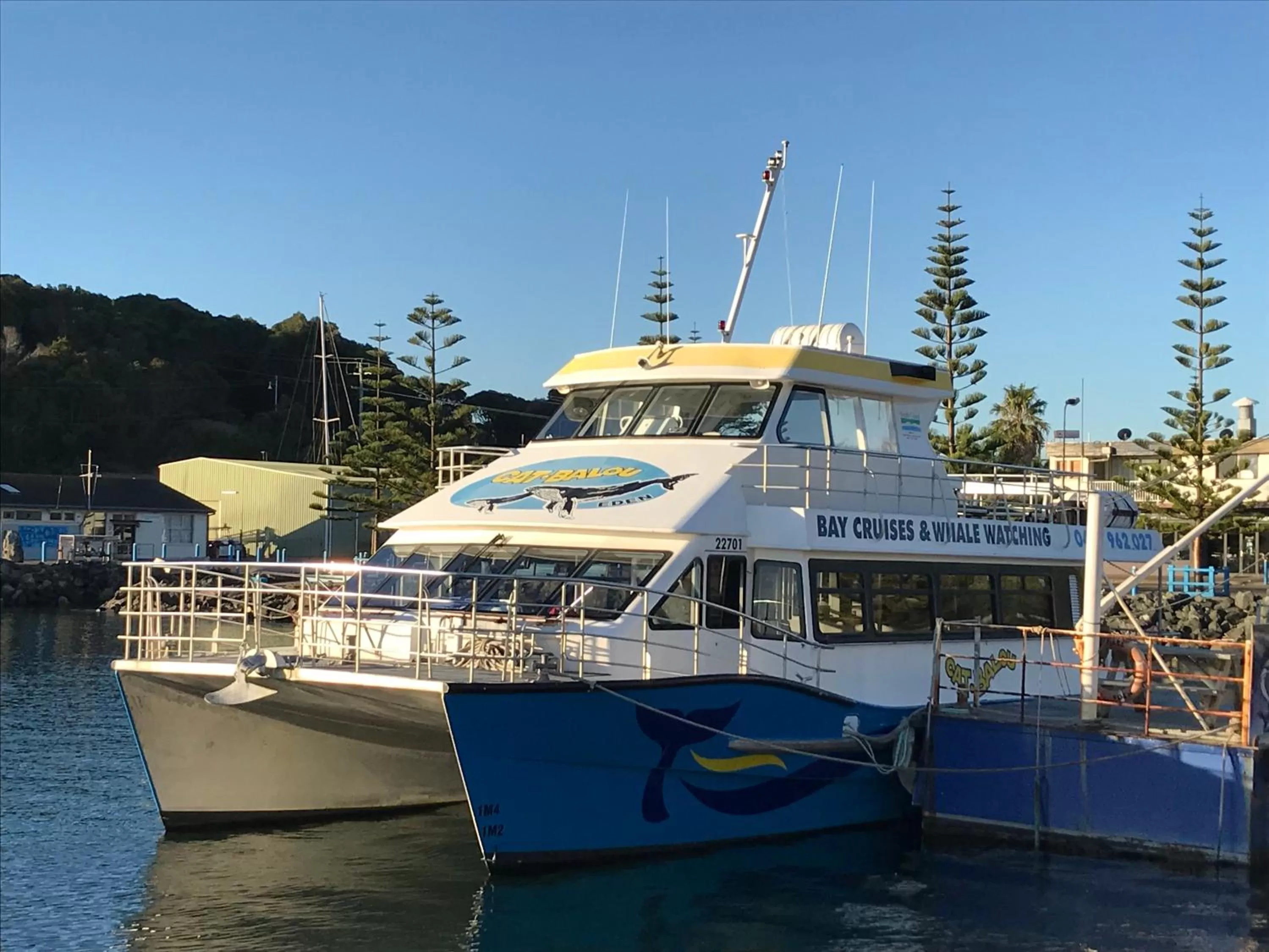 Activities in Twofold Bay Motor Inn