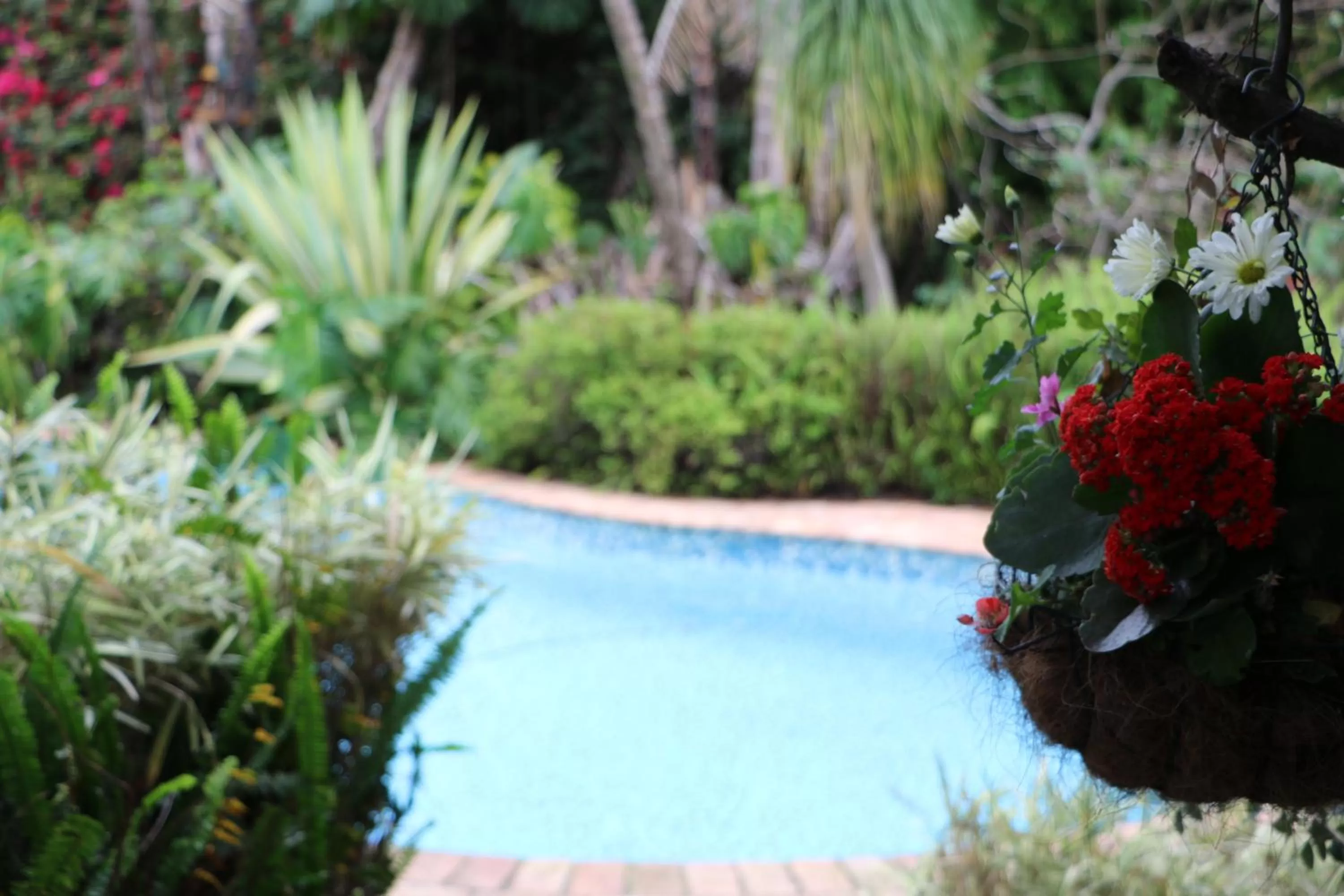 Forword's River Lodge