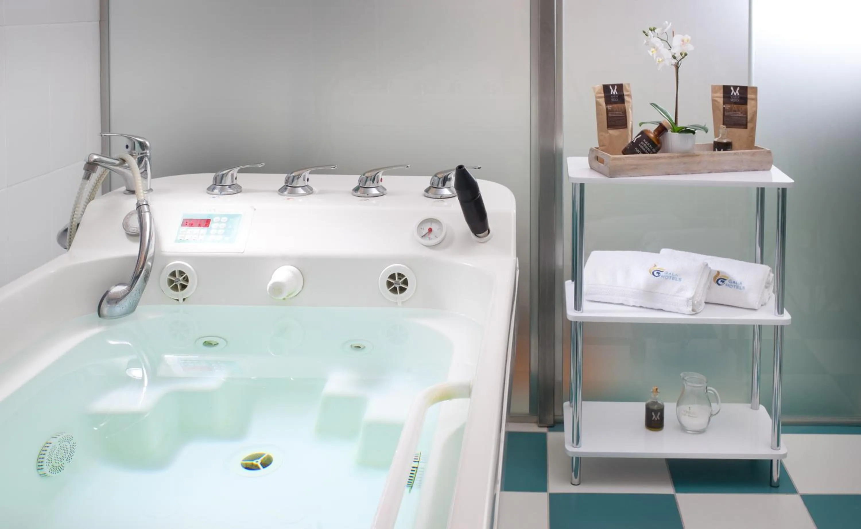 Spa and wellness centre/facilities in Hotel Excelsior