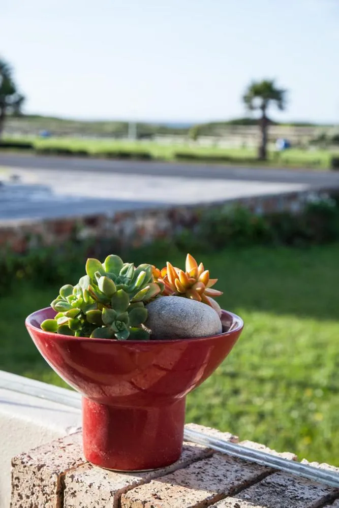 Decorative detail in Palm Beach Guesthouse