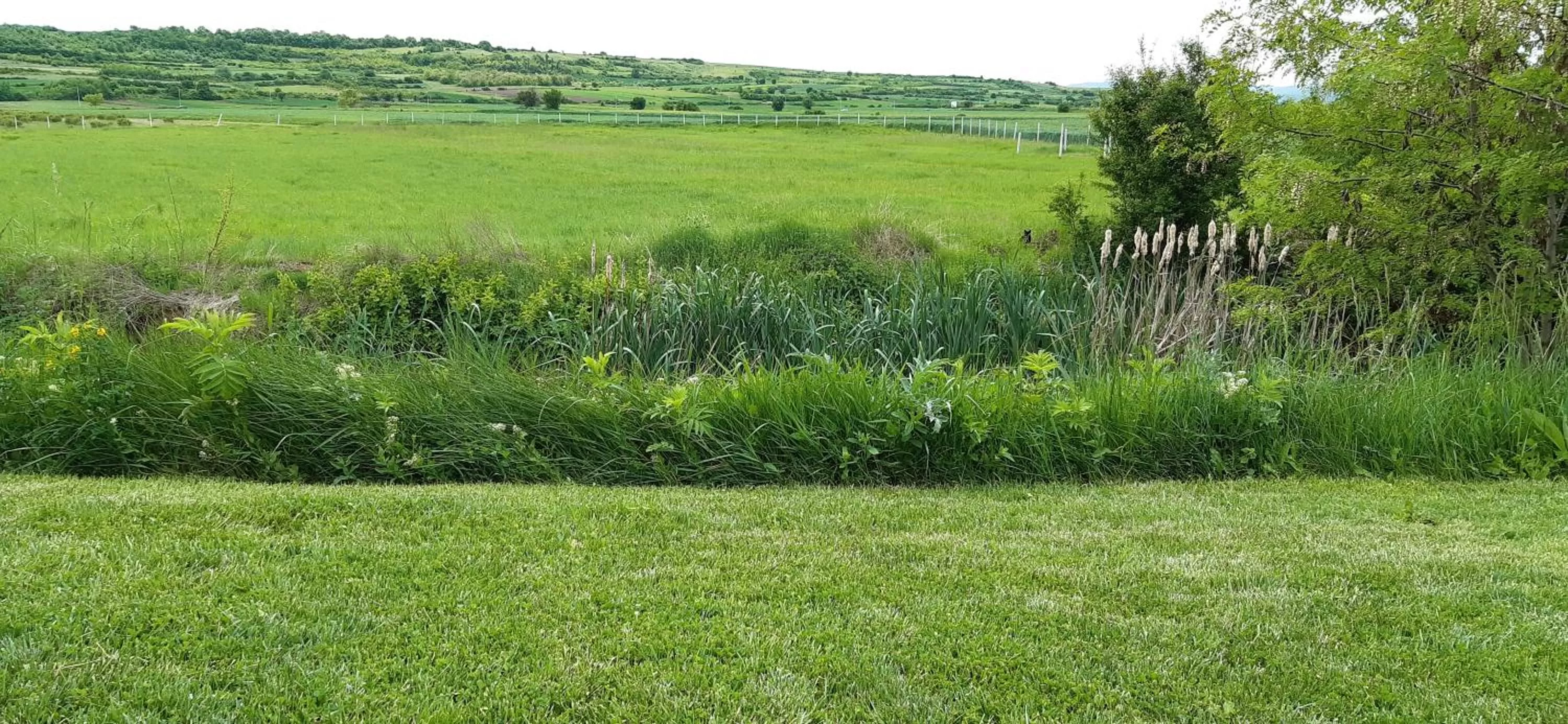 View (from property/room) in Hotel Gracanica