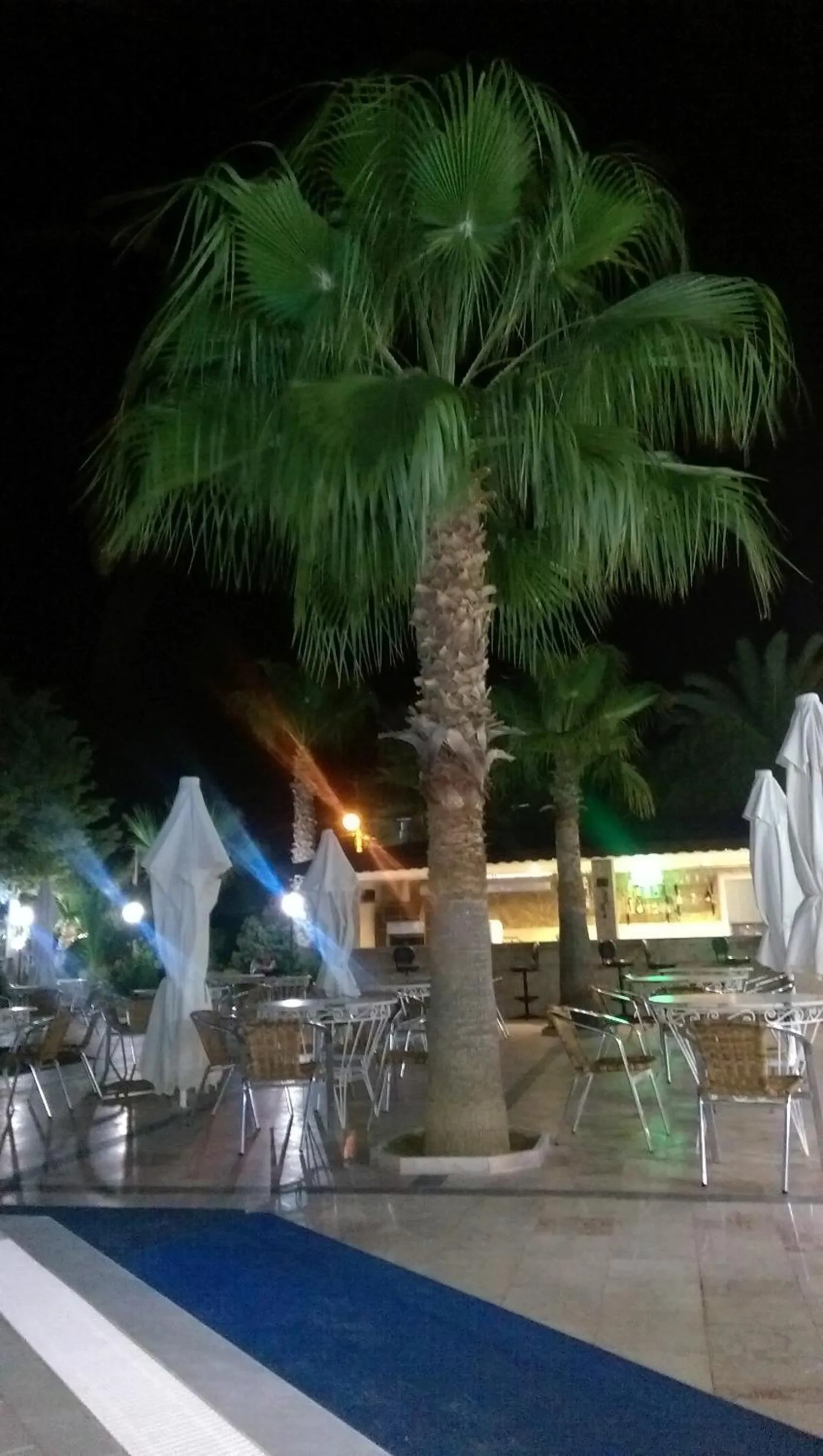 Night in Hotel Billurcu