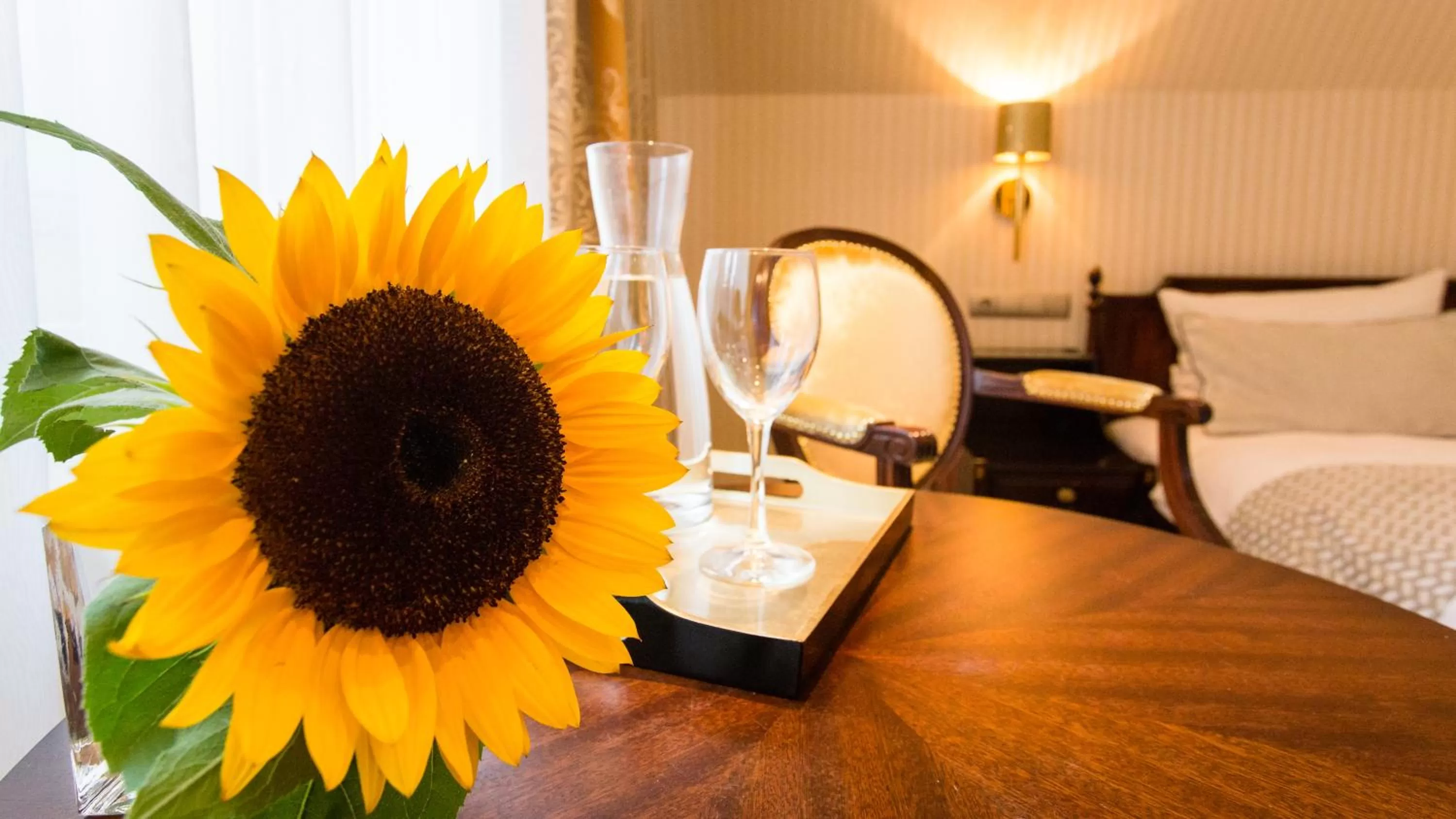 Double Room - single occupancy in Romantik Hotel Markusturm