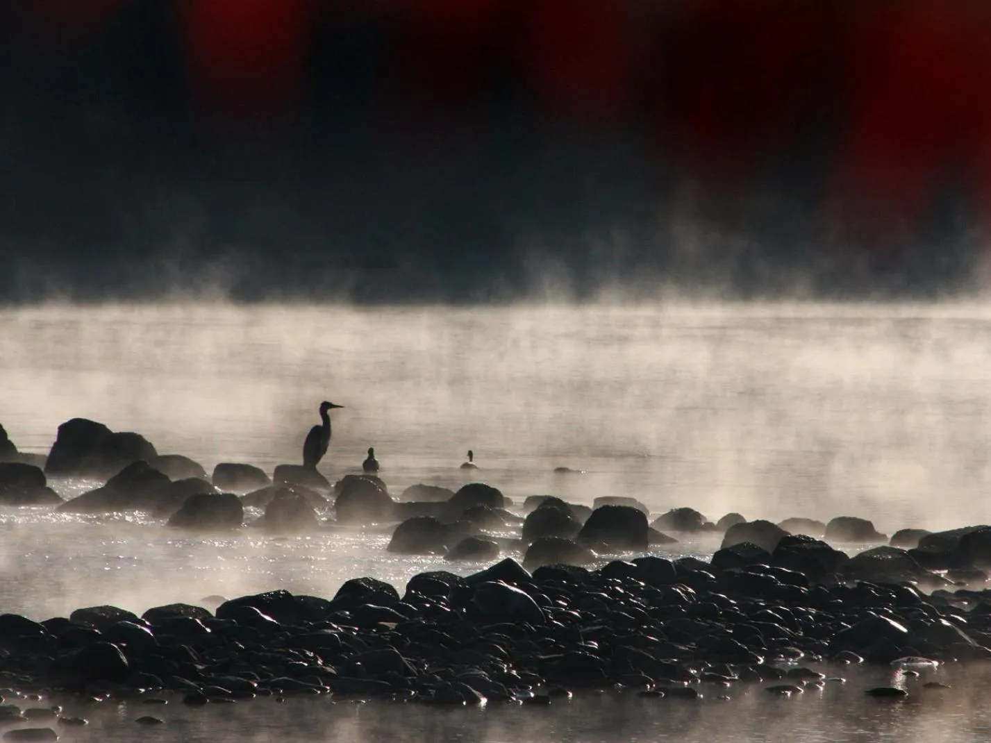 Off site in Hanayashiki Ukifune-en