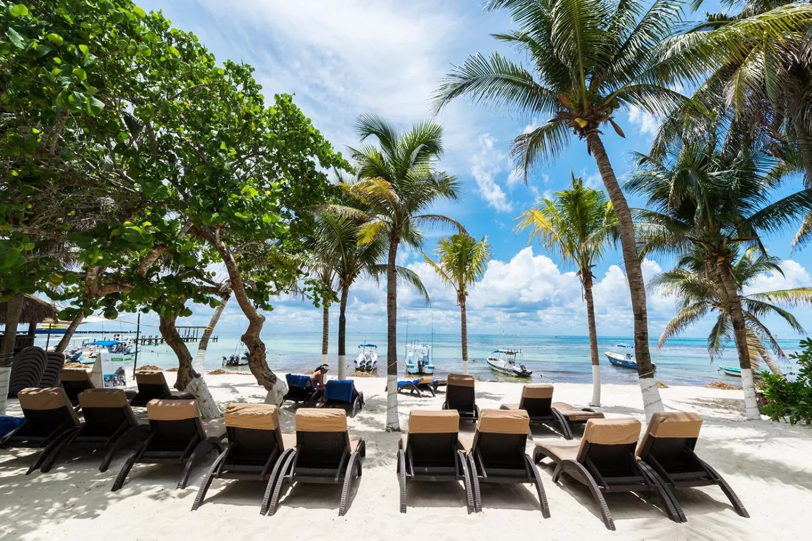 Natural landscape in Playa Palms Beach Hotel