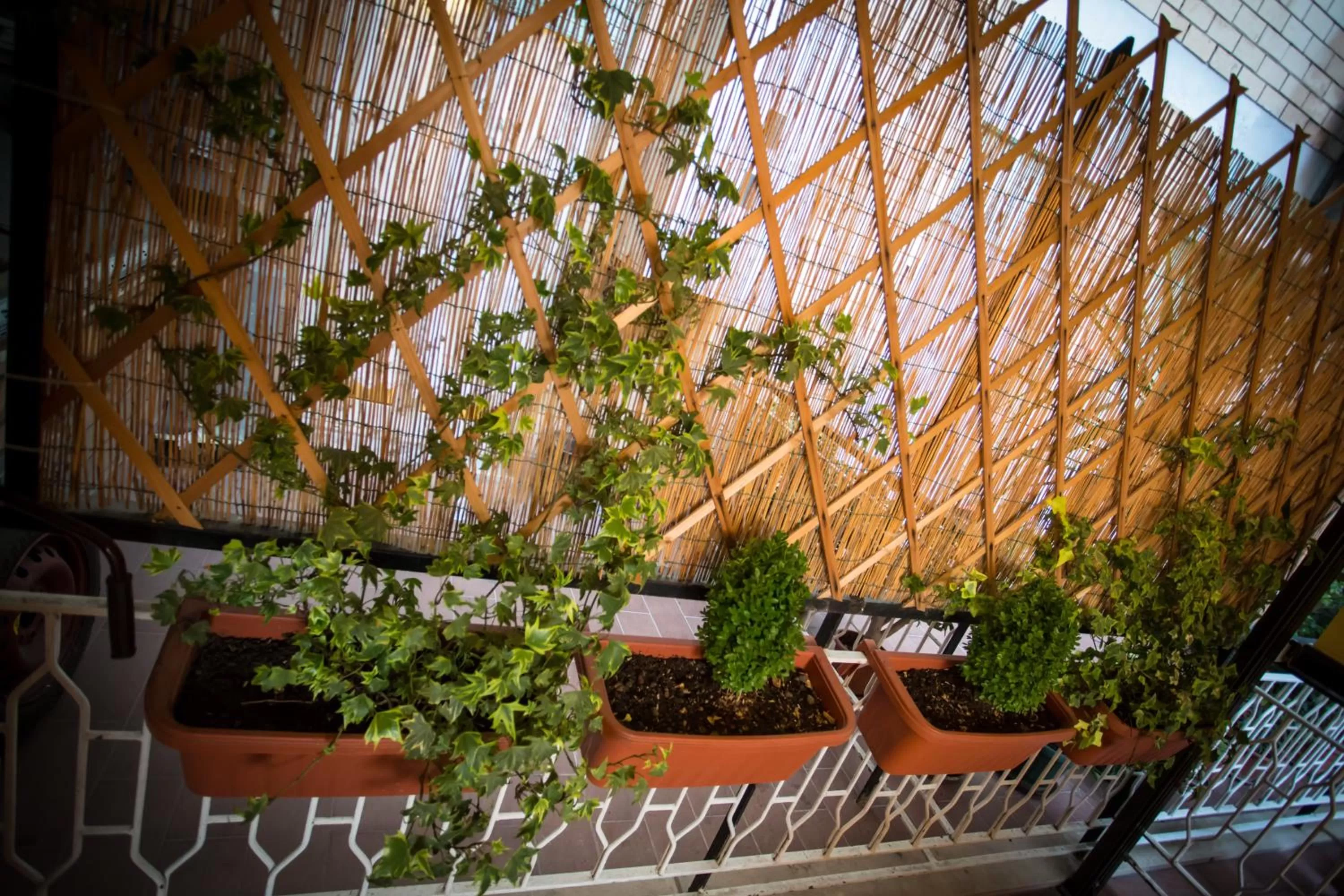Balcony/Terrace in B&B Villa Adriana