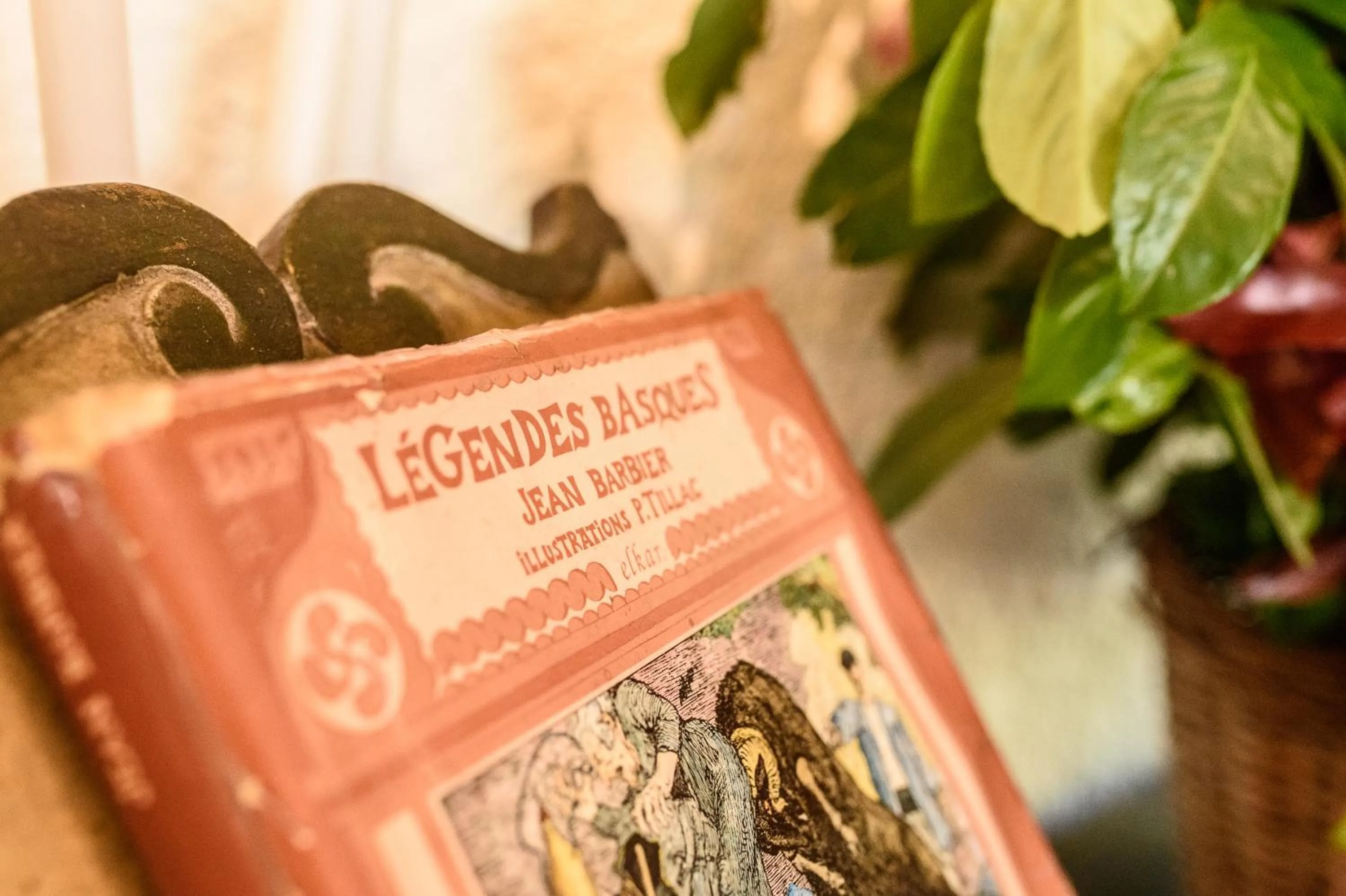 Lobby or reception in Arraya