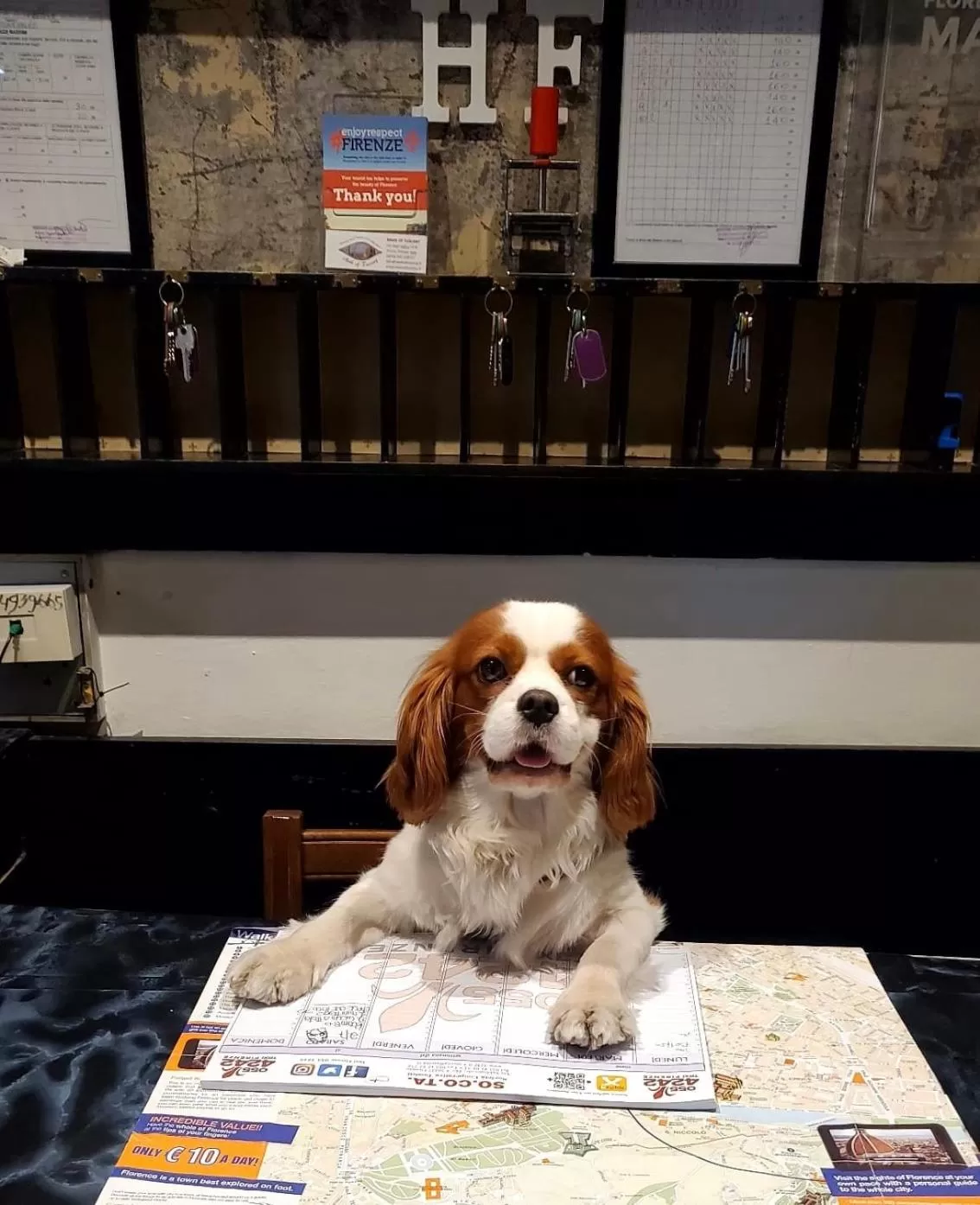 Pets in Hotel Fedora