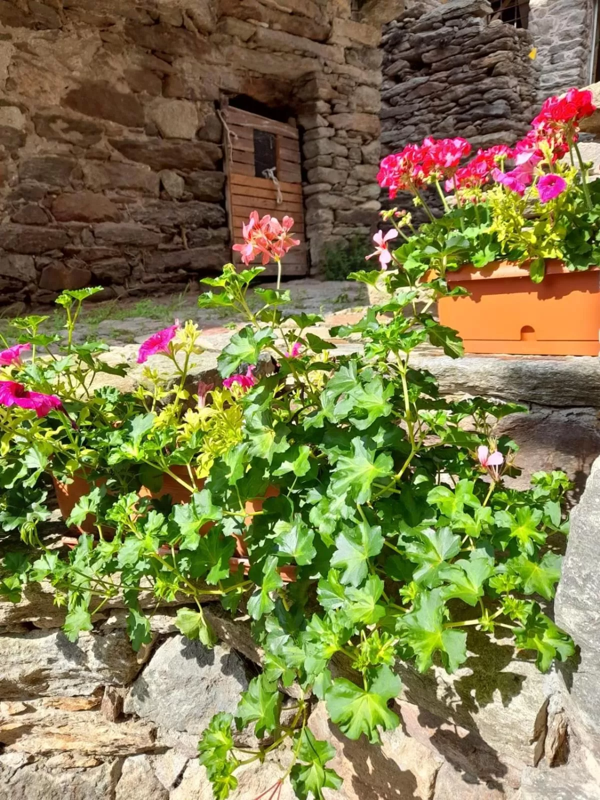 Bed & Breakfast La Crotta