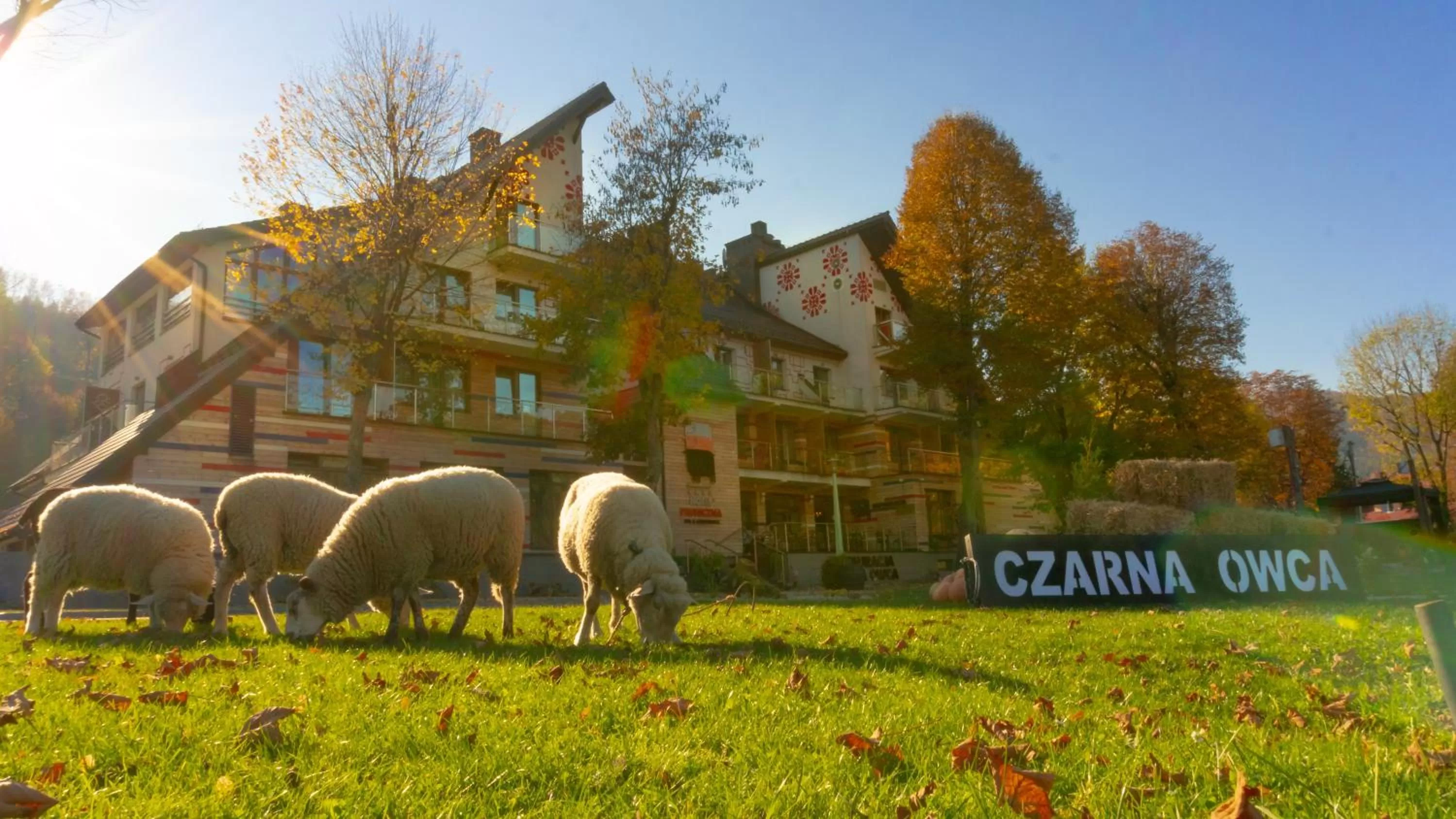 Property building in Hotel Piwniczna SPA&Conference