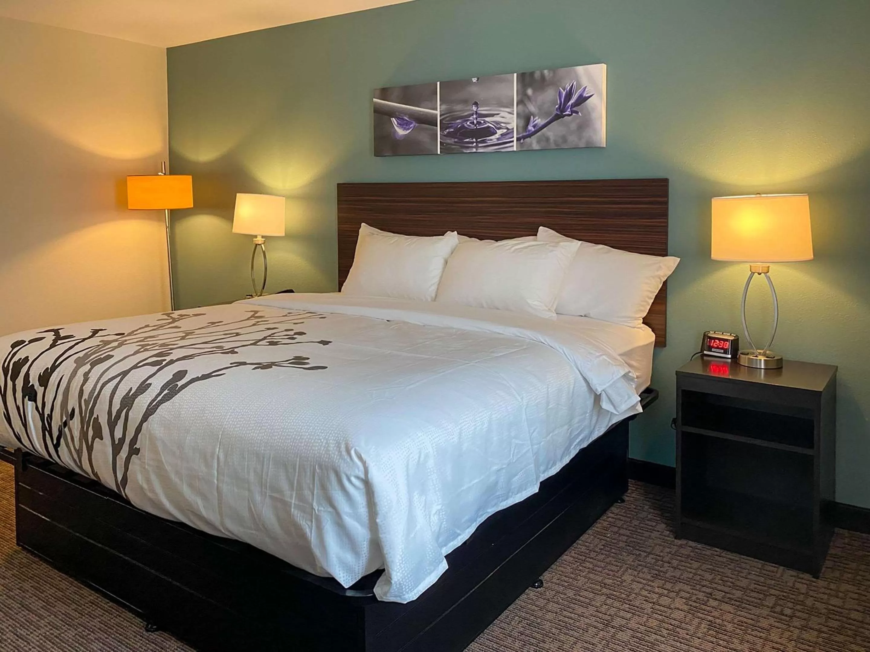 Bedroom, Bed in Sleep Inn Greensboro - Coliseum Area