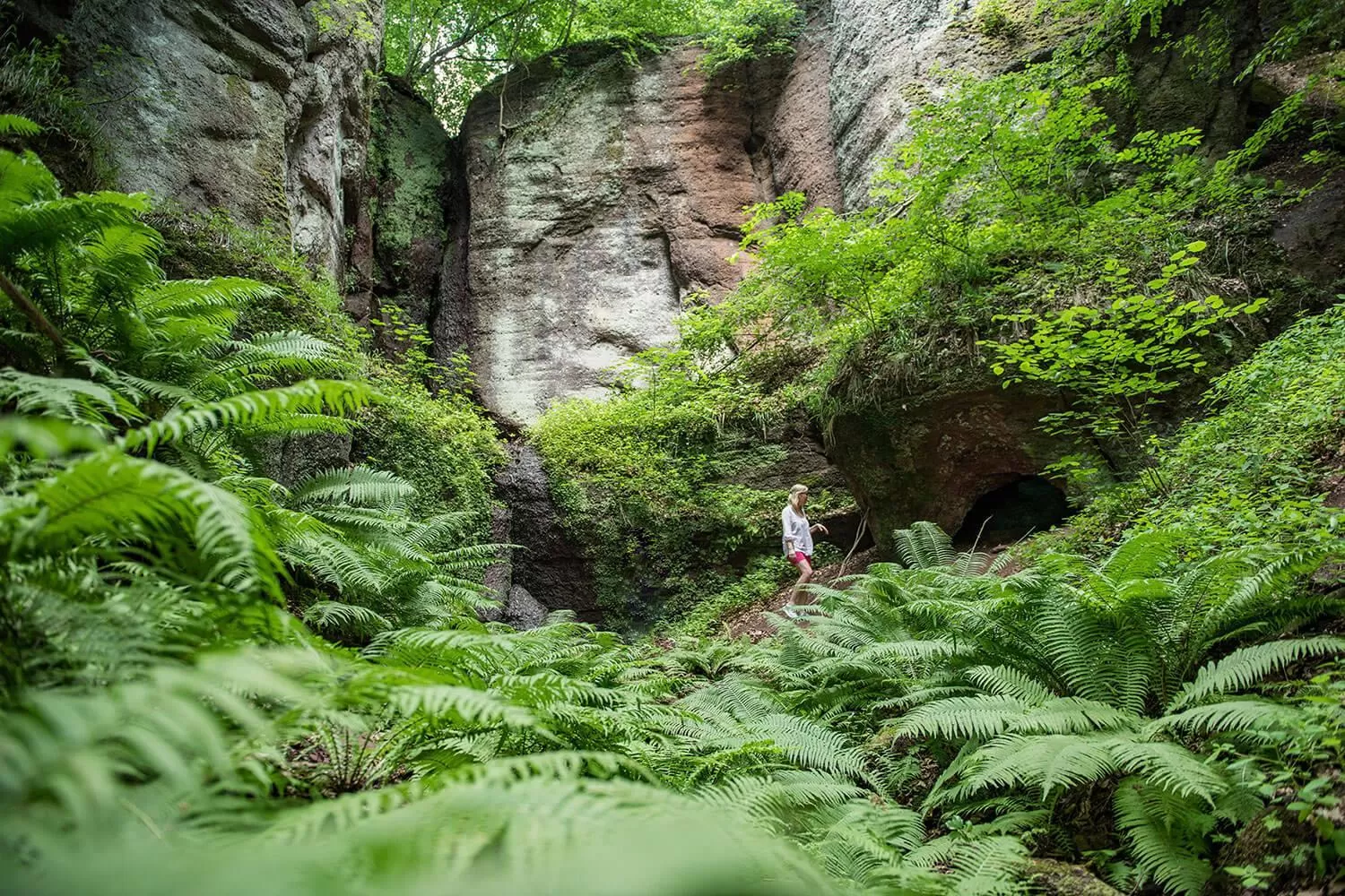 Spring in Suites MITTE - Aparthotel