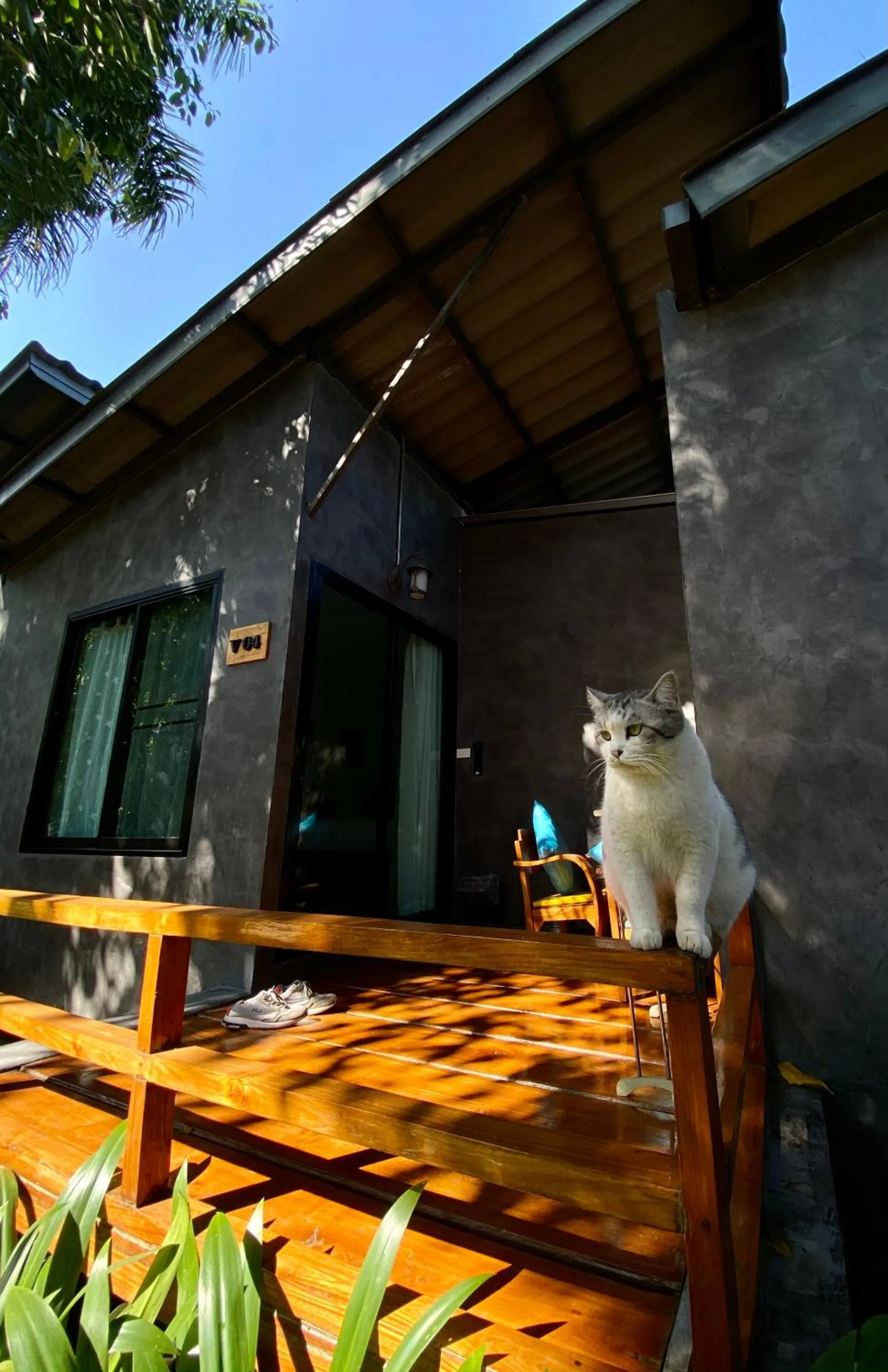 Patio in Family House @ Pai