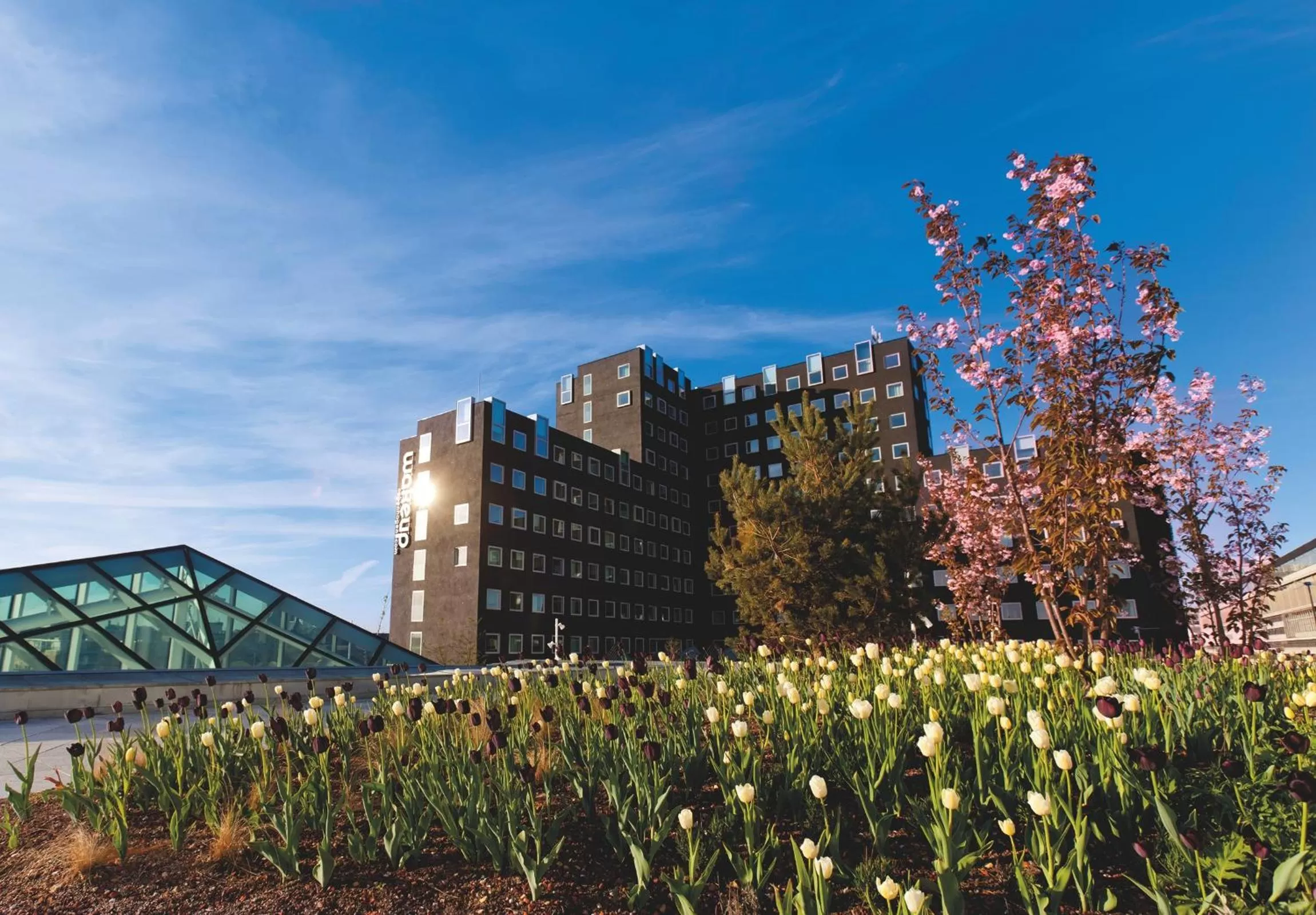 Facade/entrance in Wakeup Copenhagen - Carsten Niebuhrs Gade
