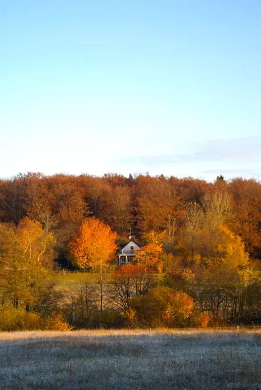 Natural landscape in Trolleberg Bed & Breakfast