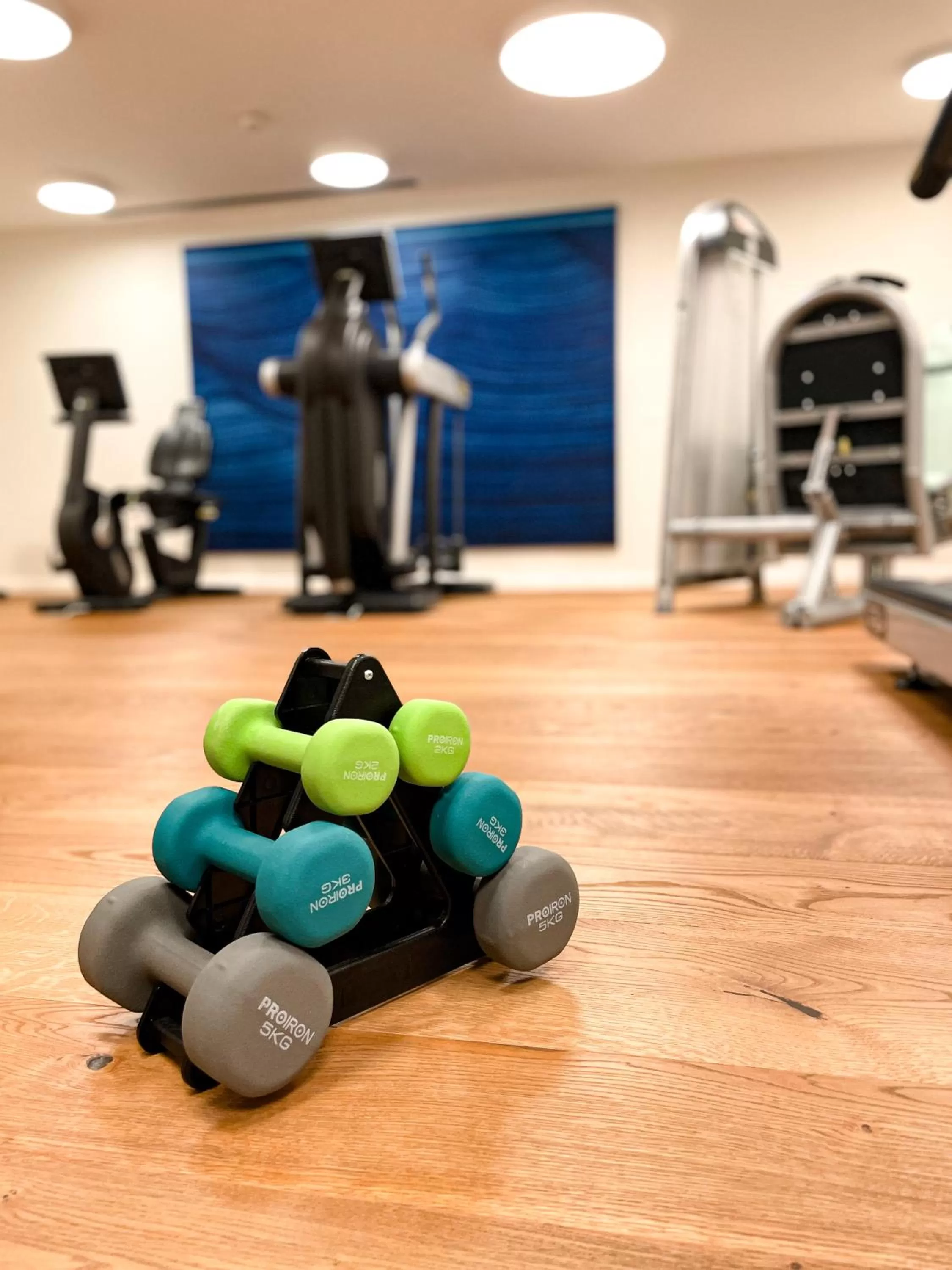 Fitness centre/facilities in Hotel-Restaurant Anne-Sophie
