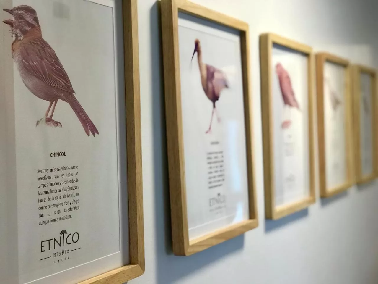 Decorative detail in Etnico Bío Bío Hotel