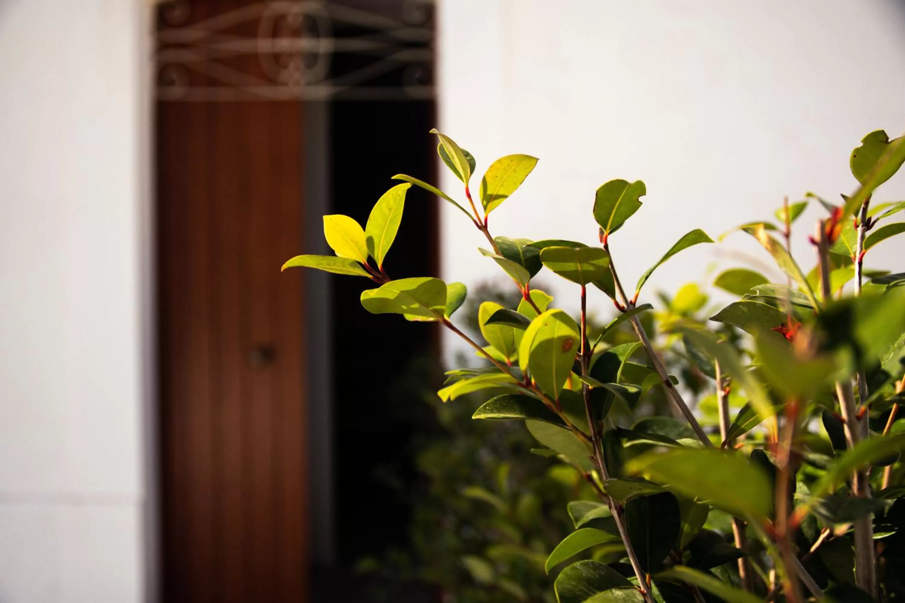 Property building in Trulli Donna Isabella