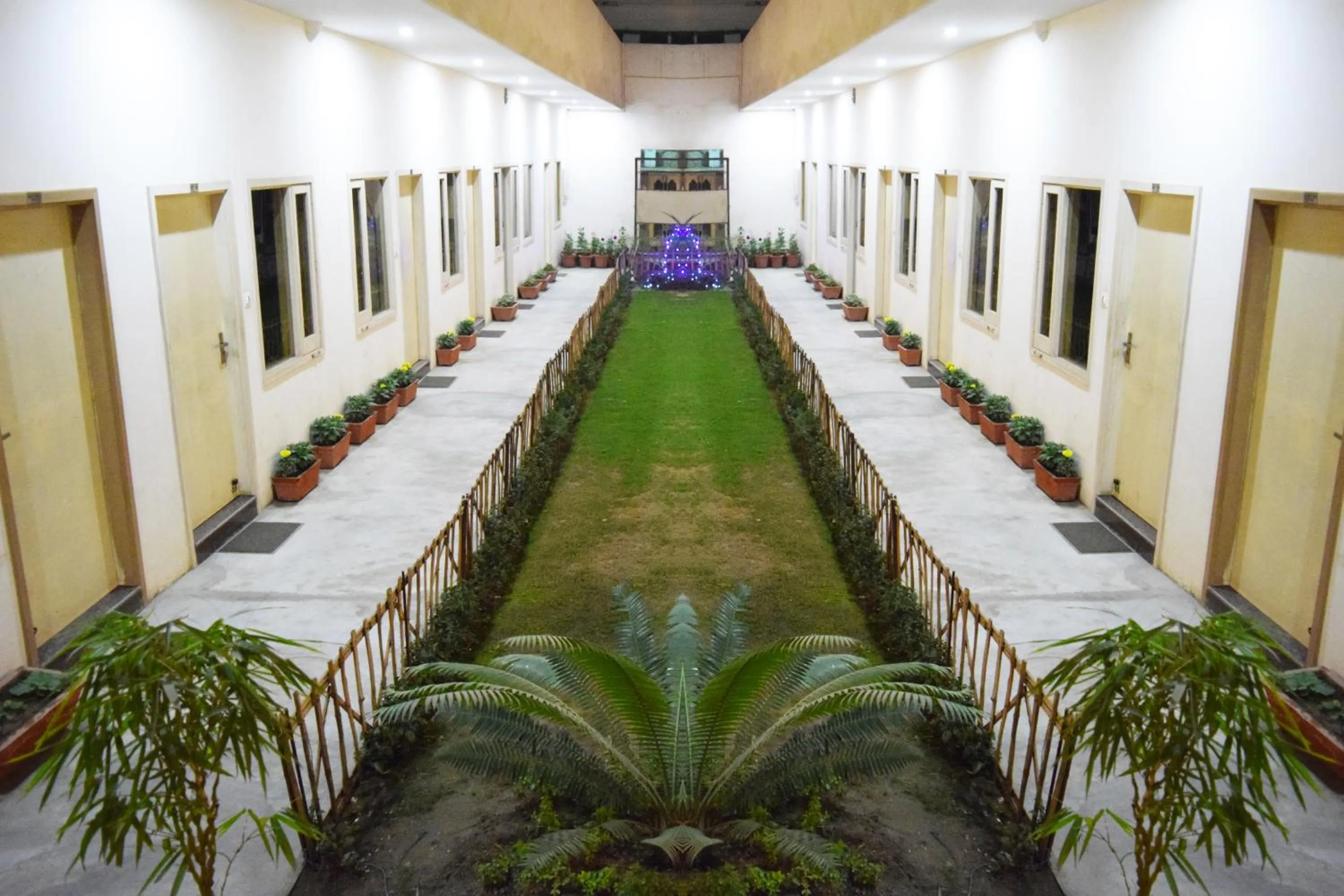 Garden in Hotel Palace