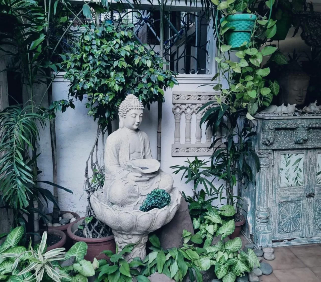 Garden in On The House - Bed and Breakfast