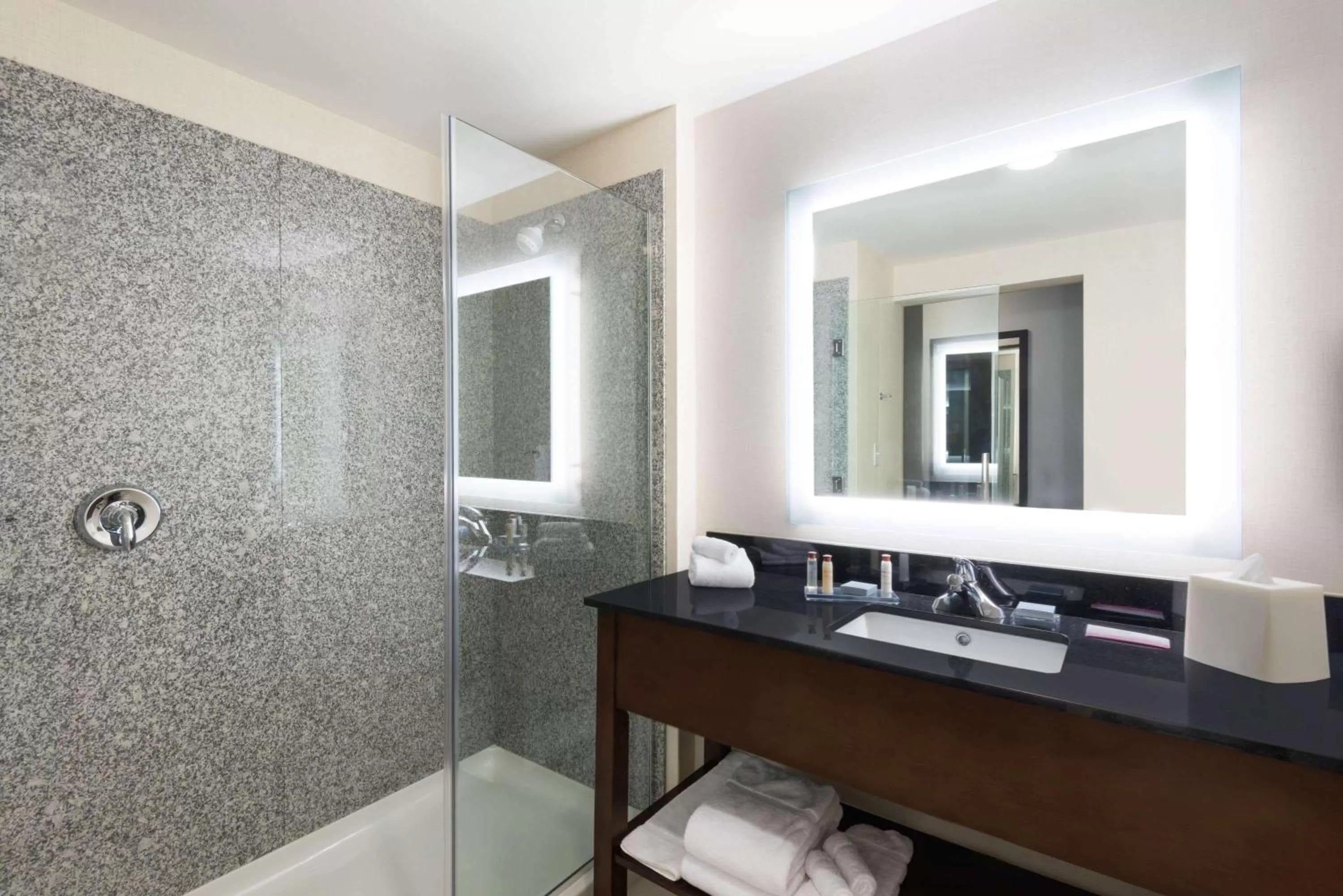 Bathroom in Wingate by Wyndham Sidney