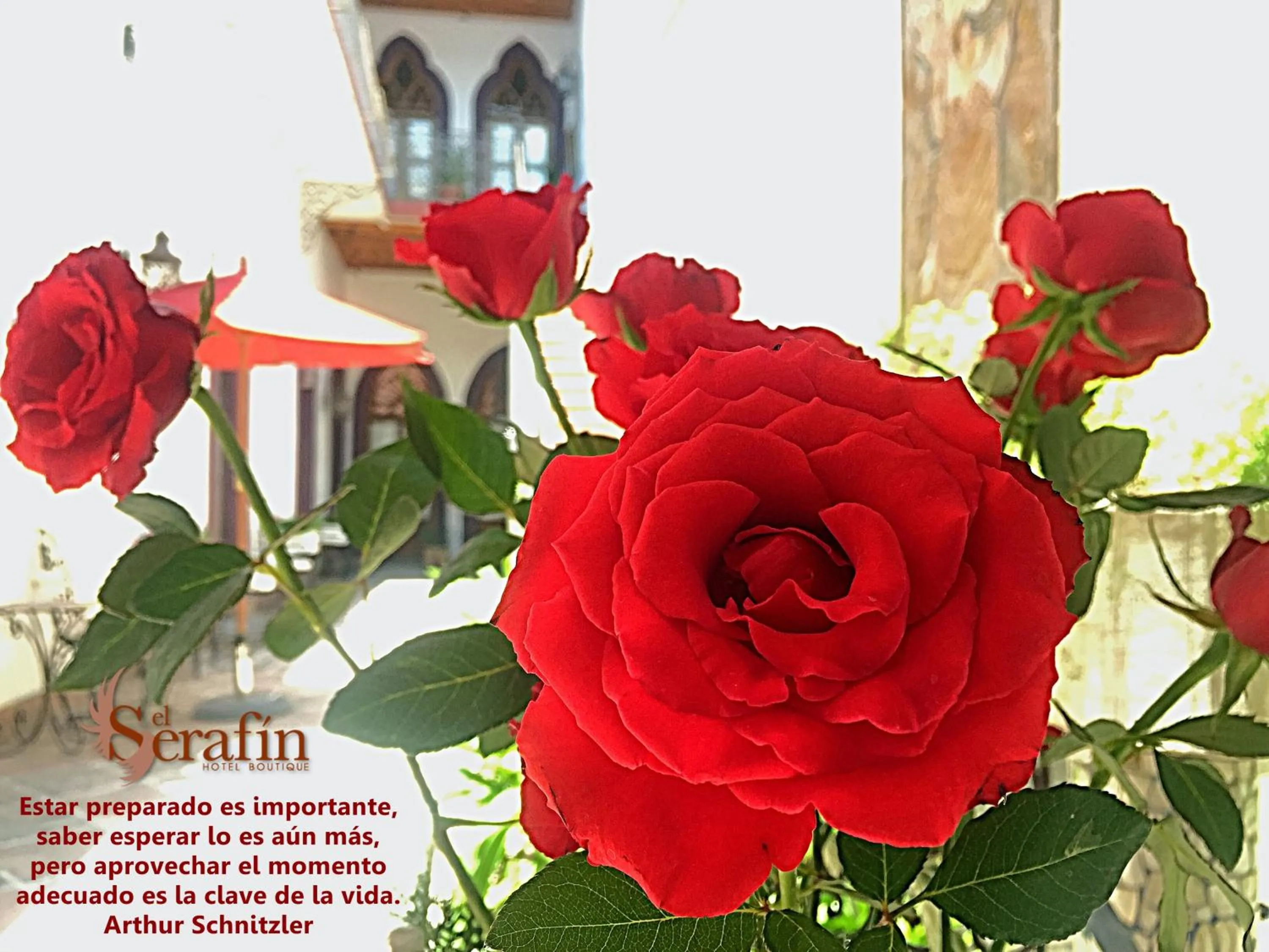 Property building in El Serafin Hotel Boutique